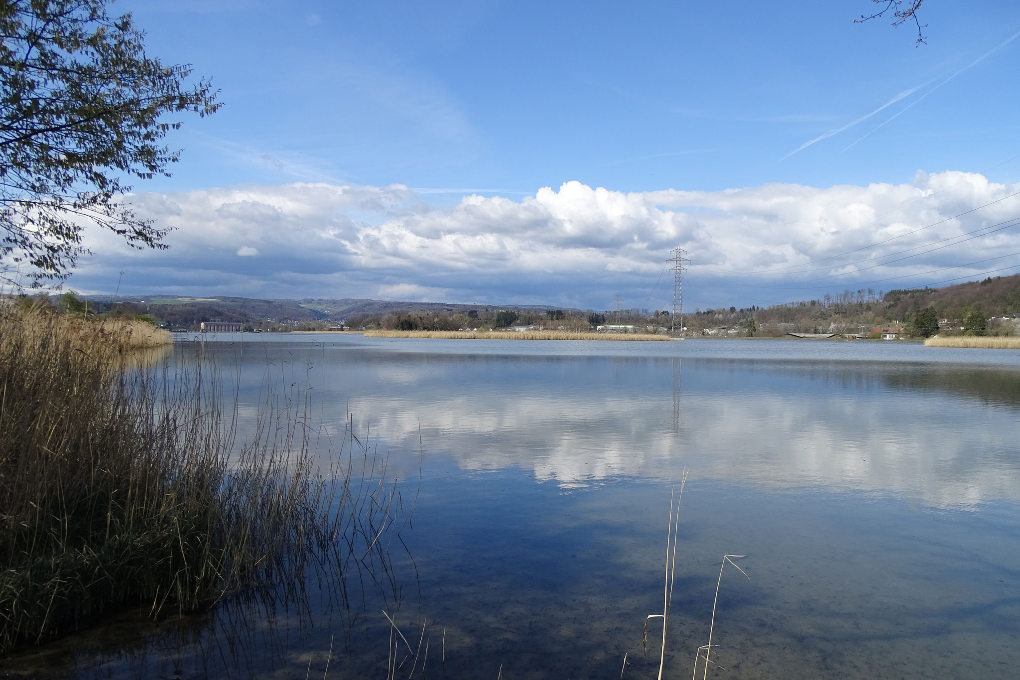 Der Frühjahrszug am Klingnauer Stausee bietet immer wieder Überraschungen, d.h. Beobachtungen spezieller und seltener Vogelarten. Aber so extrem wie in diesem Frühjahr 2023 war es selten zuvor.