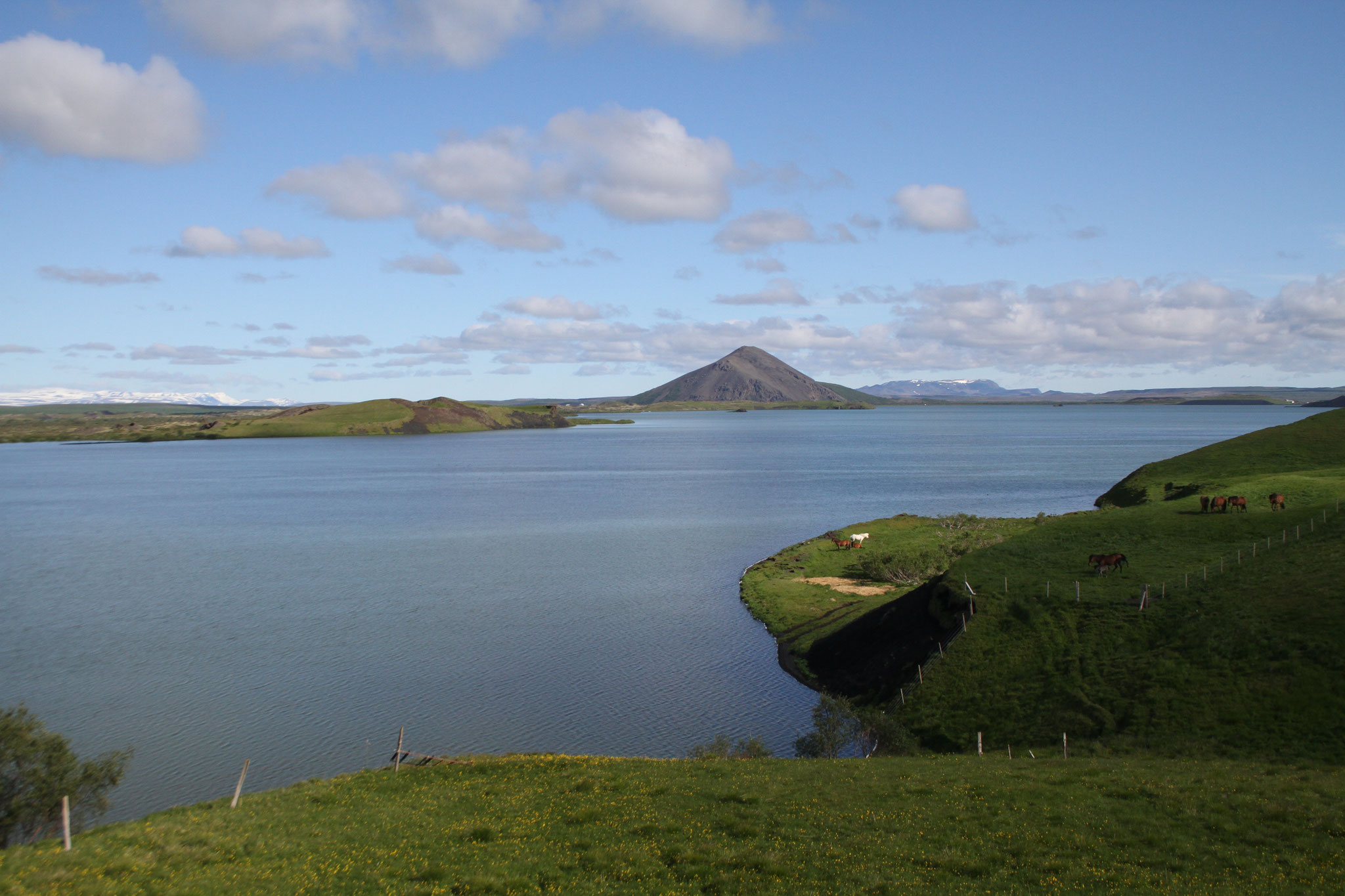 Nach zwei Tagen geht es weiter zum Myvatn (Mückensee)...