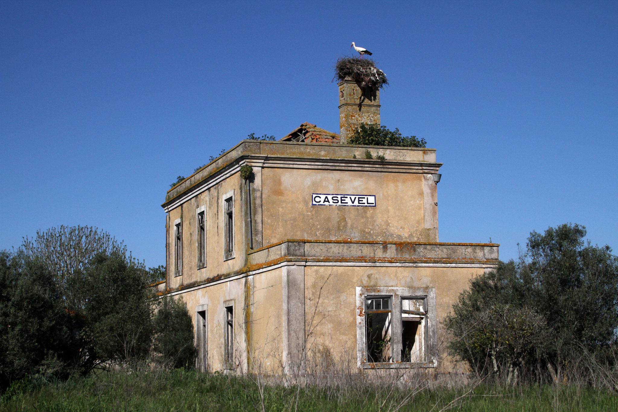 Typisch Portugal: der alte Bahnhof von Casevel wurde einfach stehengelassen und zerfällt langsam - für Vögel ein Paradies!