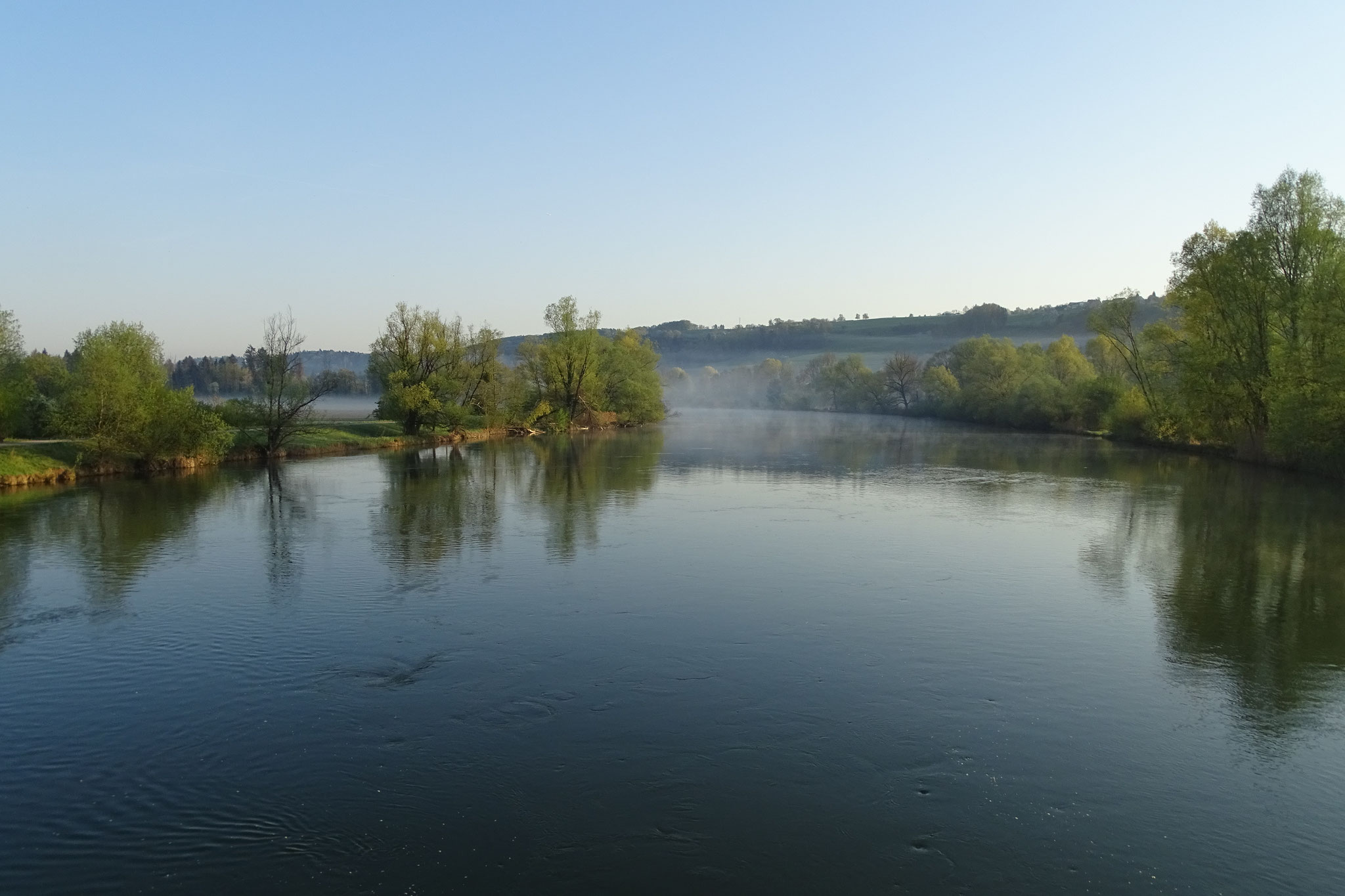 Am Flachsee und der Stillen Reuss waren in diesem Frühjahr spannende und schöne Vogelbeobachtungen möglich