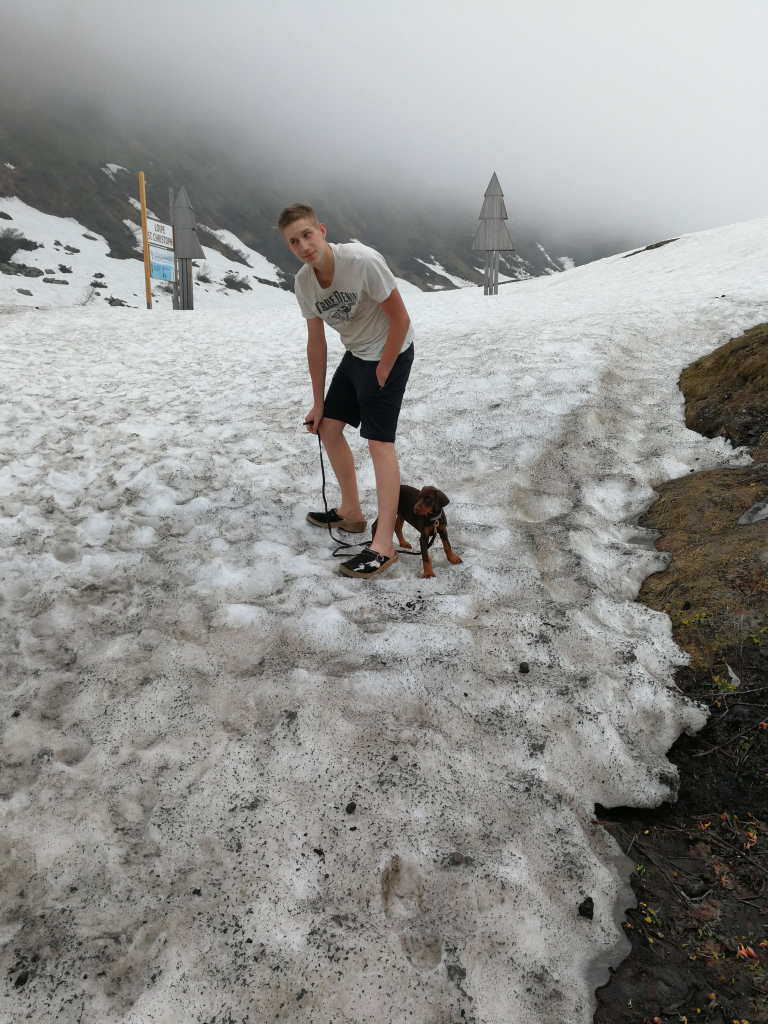 Der erste Schnee, direkt bei der Heimfahrt von Italien🙈