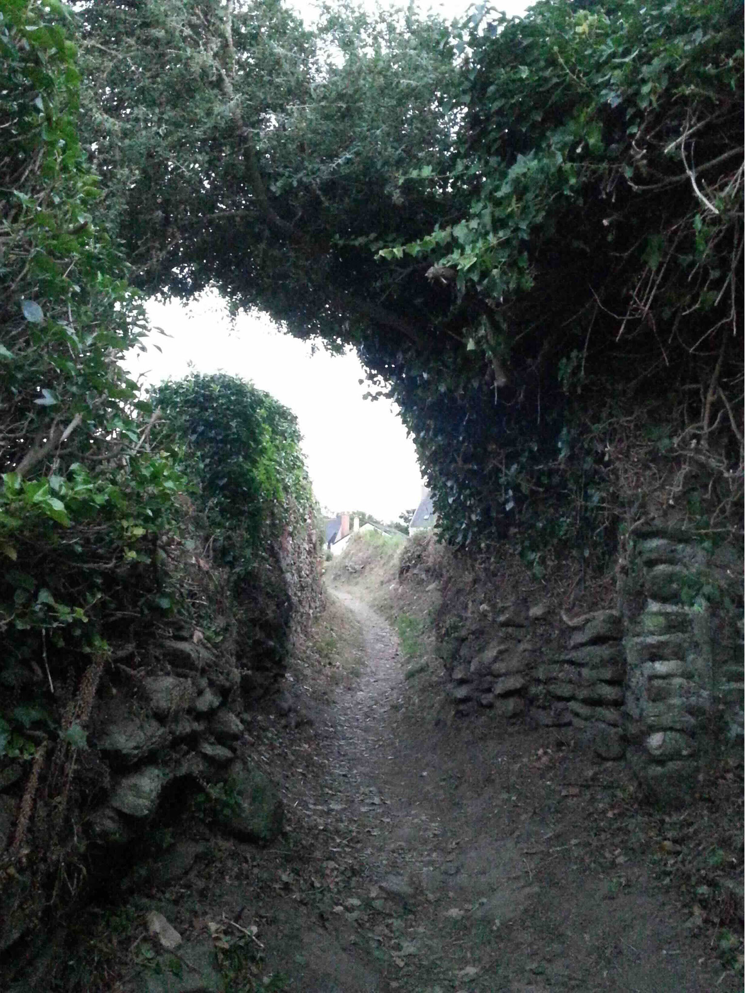 En 2018, l’accès au ribin côté mer se faisait en passant sous une voûte végétale, sorte de porte mystérieuse. Les murets étaient entretenus.