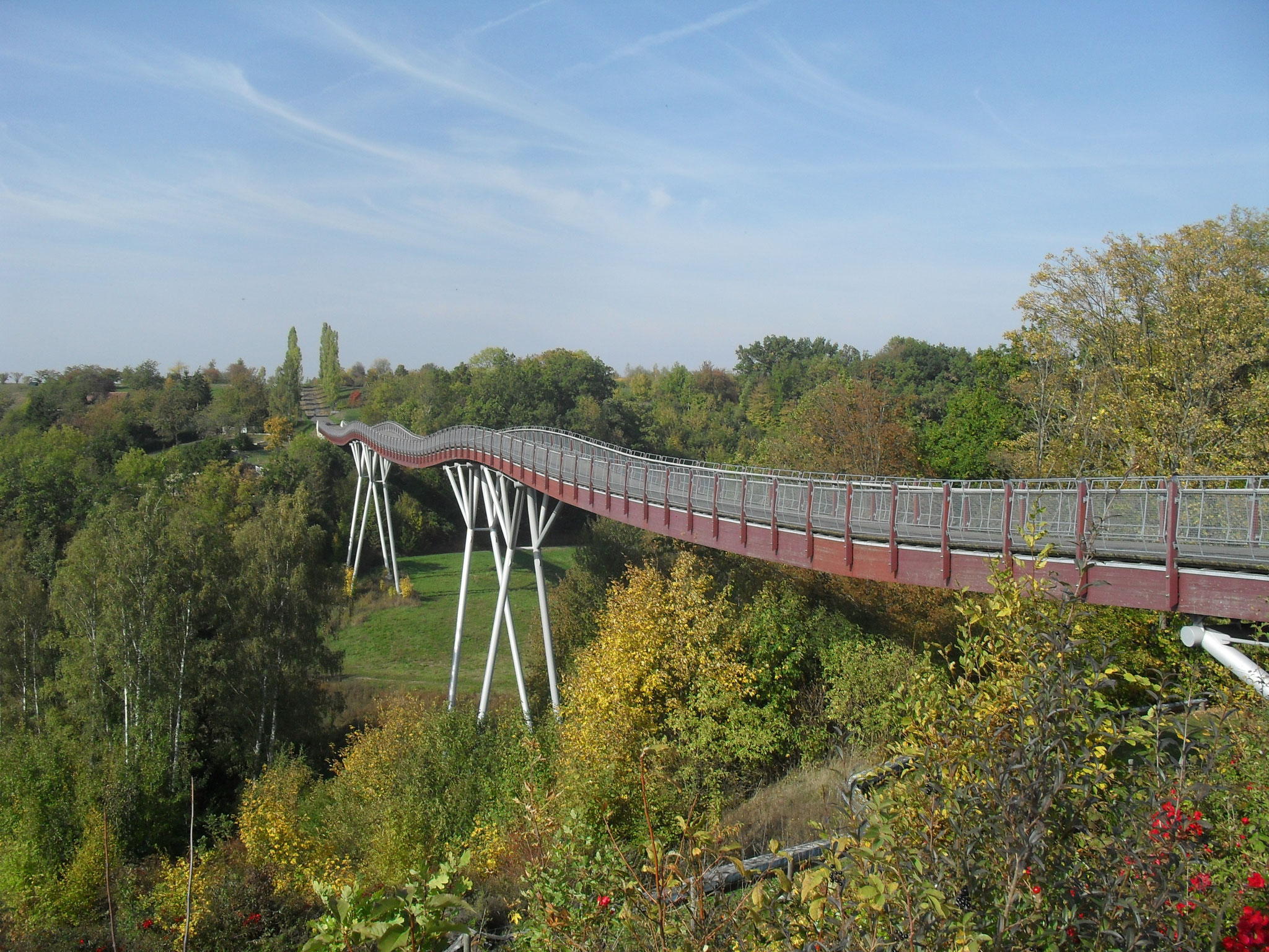 Drachenschwanzbrücke in der "Neuen Landschaft" in Ronneburg