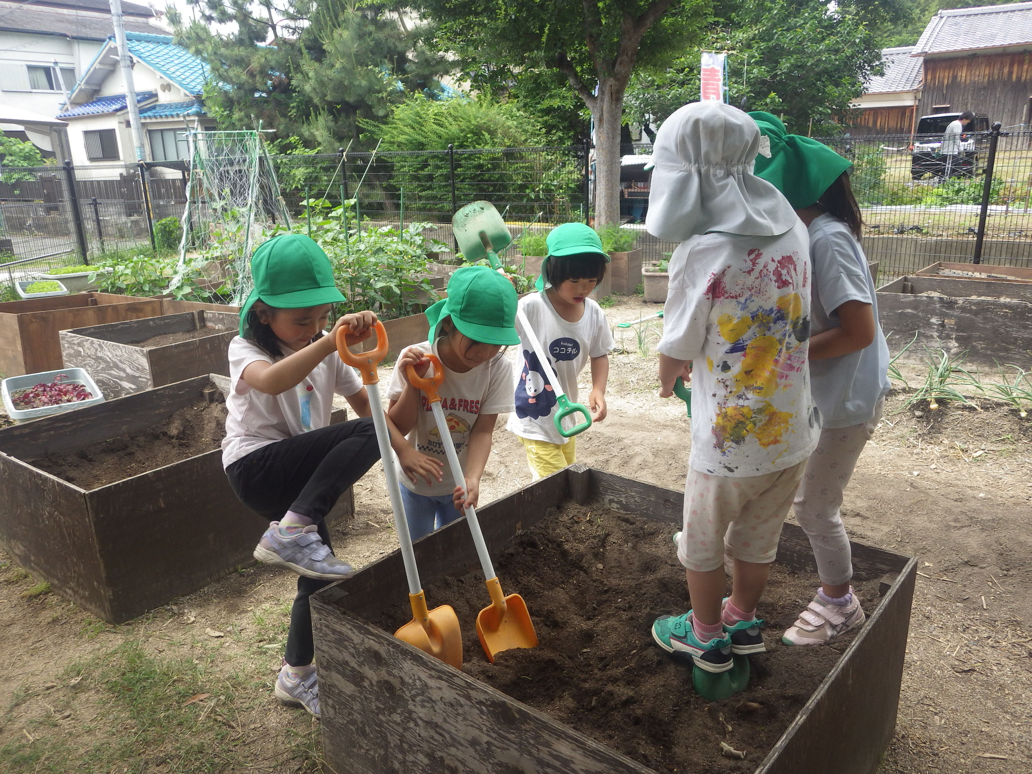 畑作り中・・・砂場の土とは違う畑ならではの感触を味わっていました。