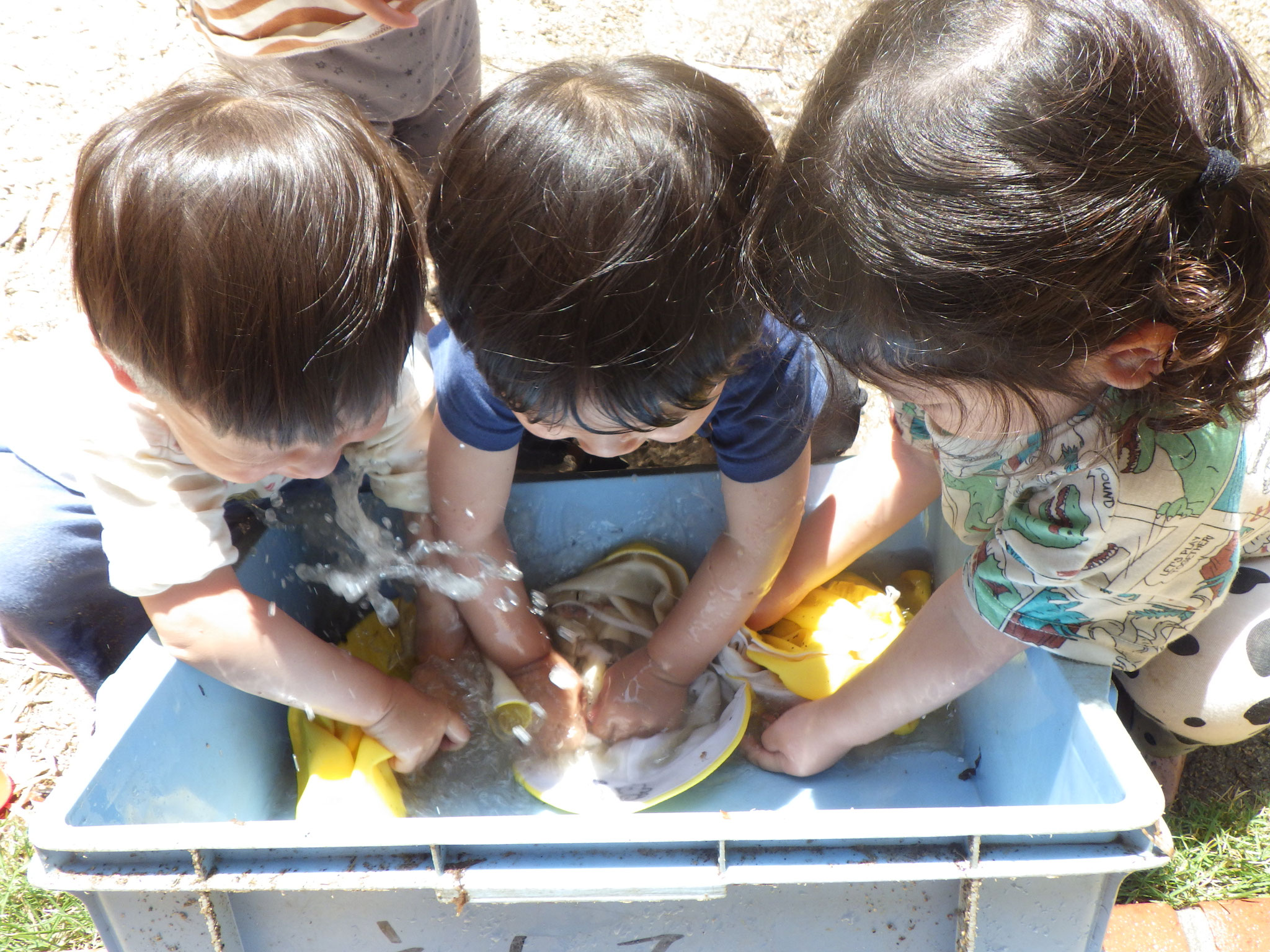 きれいになったかな？