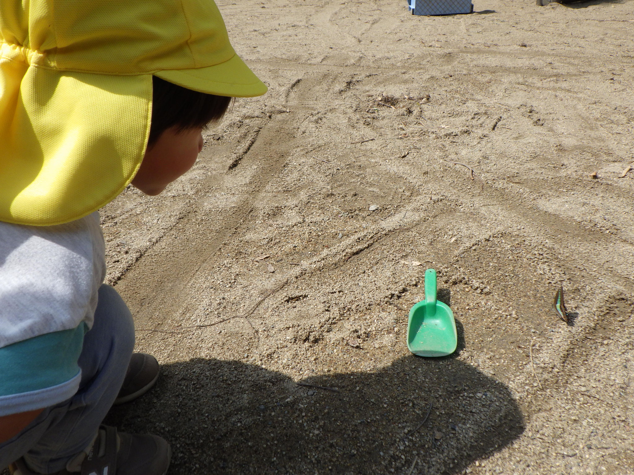 「青いちょうちょだぁ」