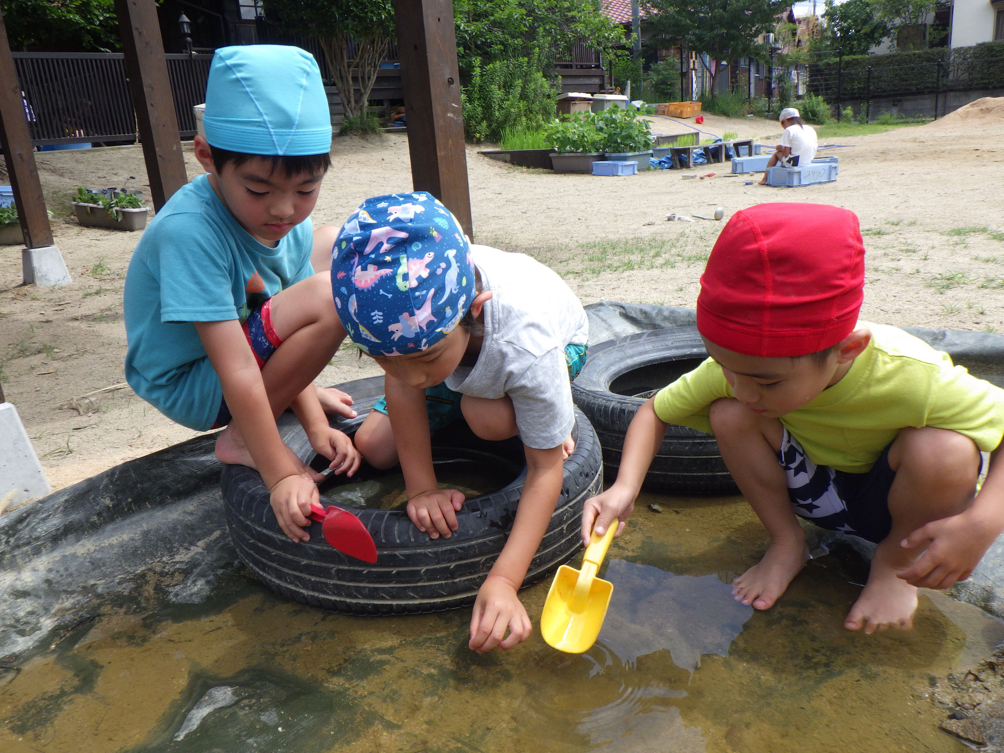 砂場のシートにたまった水たまりにヤゴがいるのを見つけて育ててみることにしました（5歳児）
