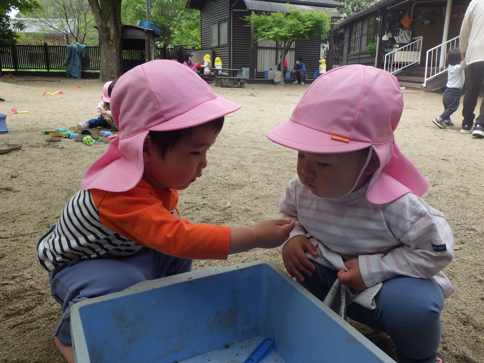 「ダンゴムシがいたよ」