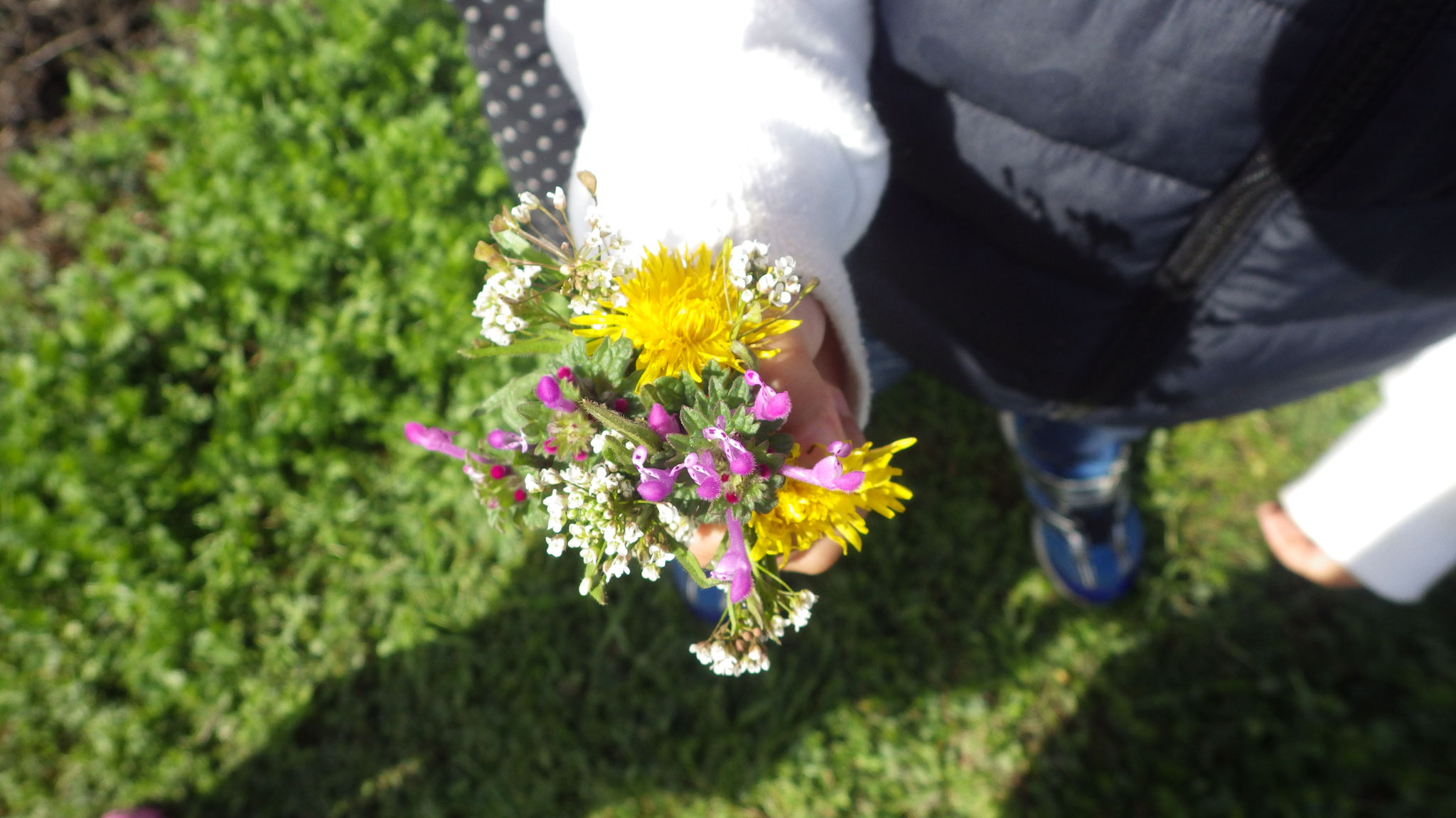 田んぼのあぜ道でお花つみ。かわいい花束ができました