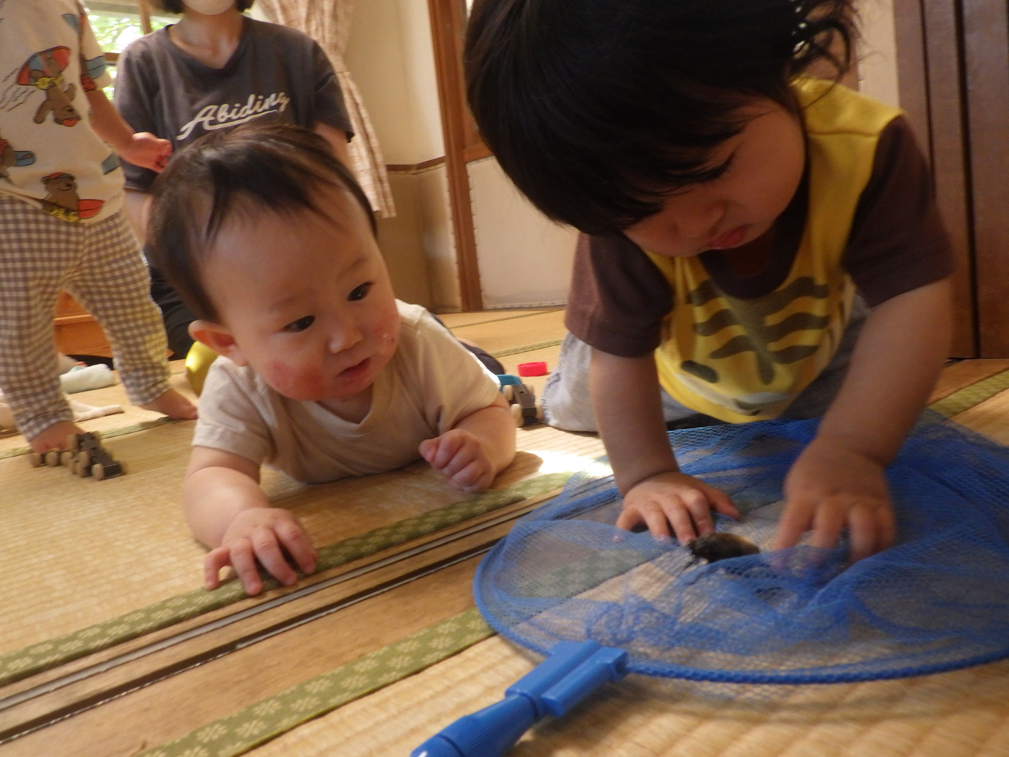 カブトムシに興味津々！！いったいコレは何だろ～？？？（0歳児）