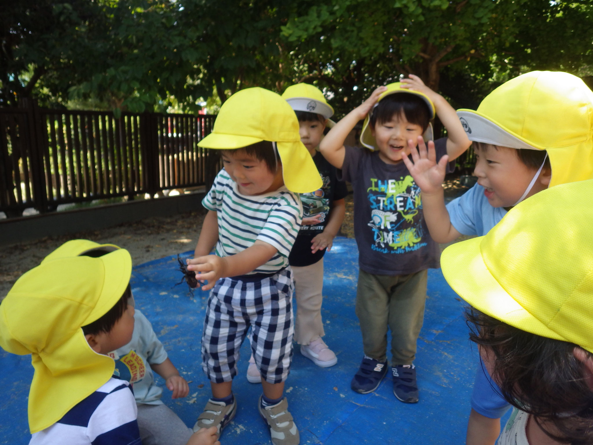 「みてみて～」「ほら、かぶとむし！」