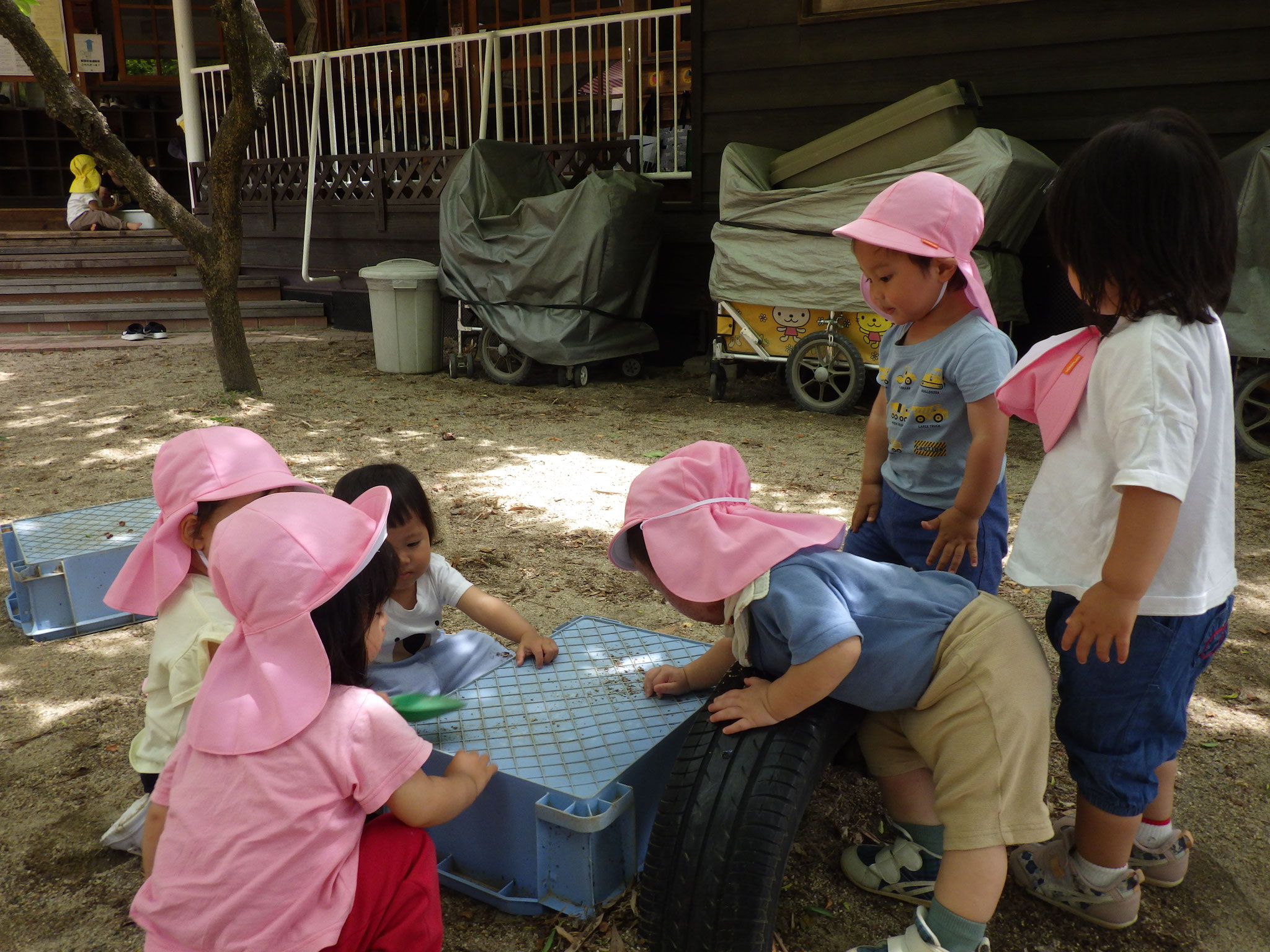 最初は2人だったのが、いつの間にか大勢に！何してんのー？楽しそう・・・！！と、お友だちが気になるようです☆
