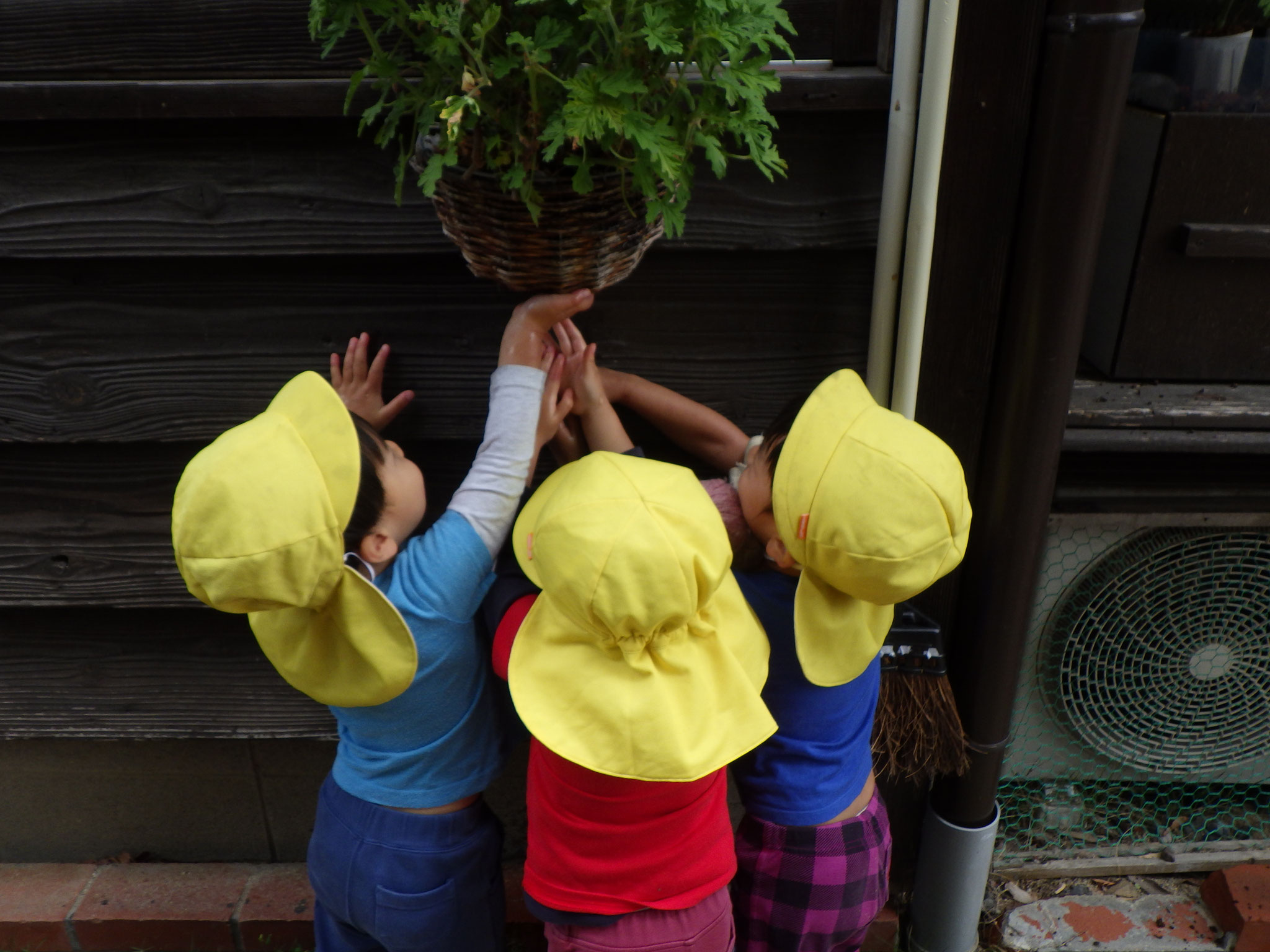 お水、ポタポタ・・・