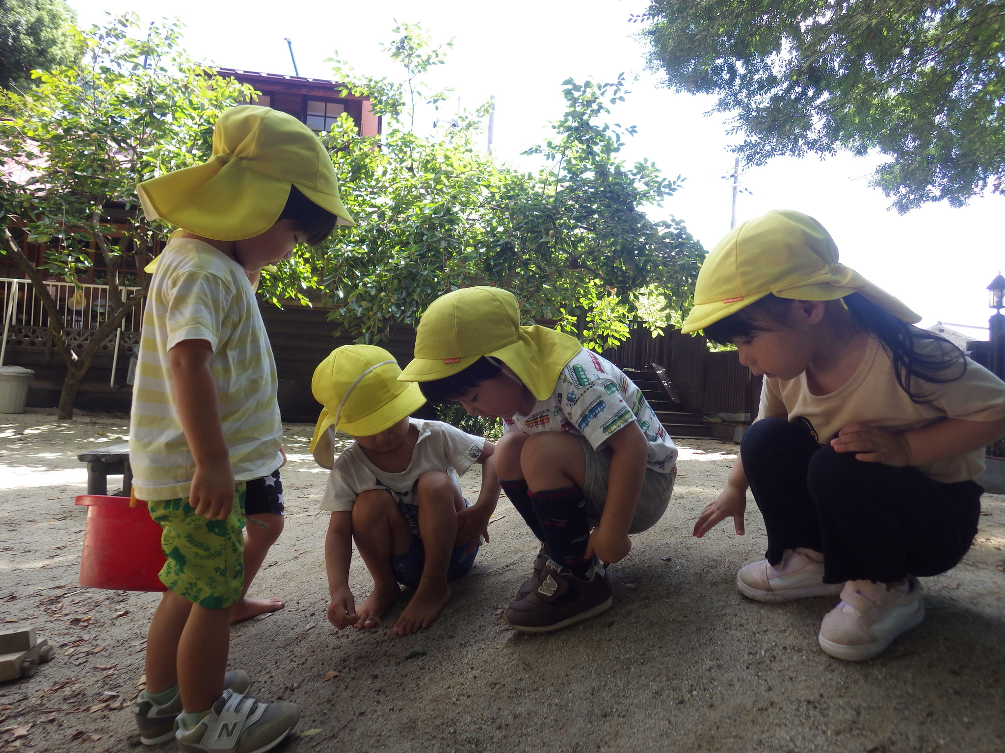 「ありのすだぁ…」