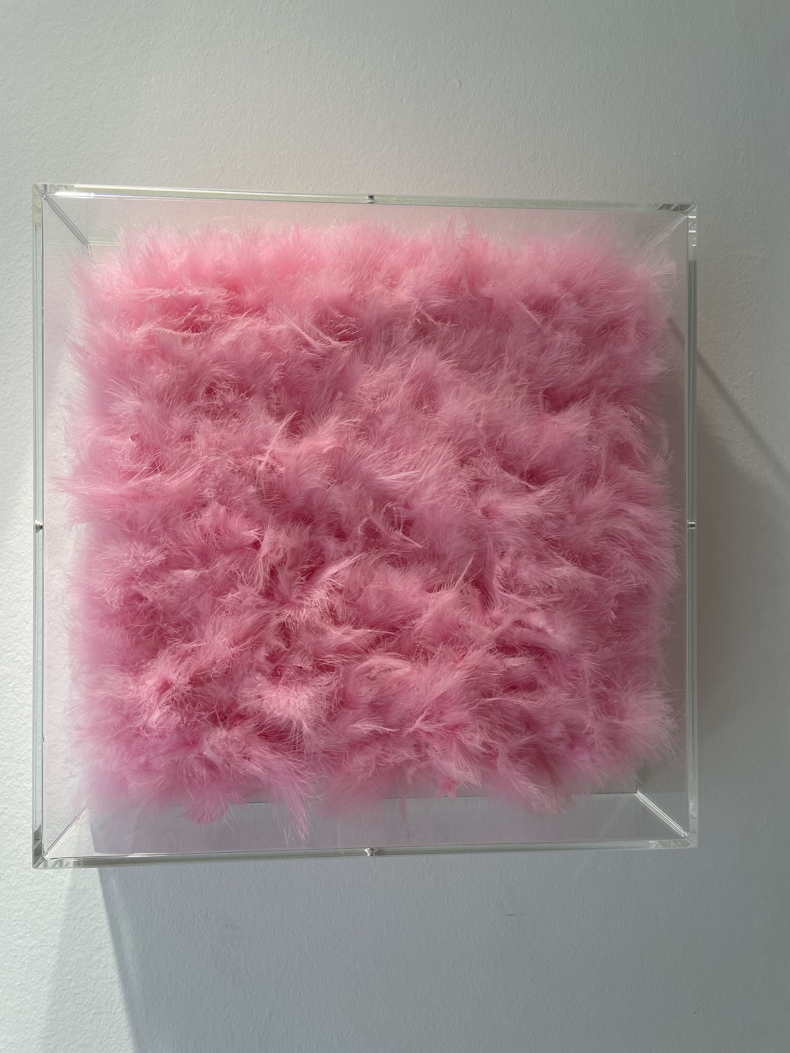 "FEATHERS IN A BOX" 2019 Plexiglas /Holz / Marabufedern 40x40