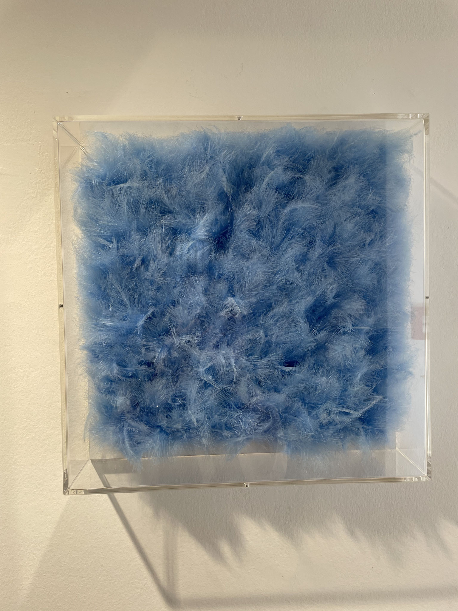 "FEATHERS IN A BOX" 2020 Plexiglas /Holz /Marabufedern 40x40