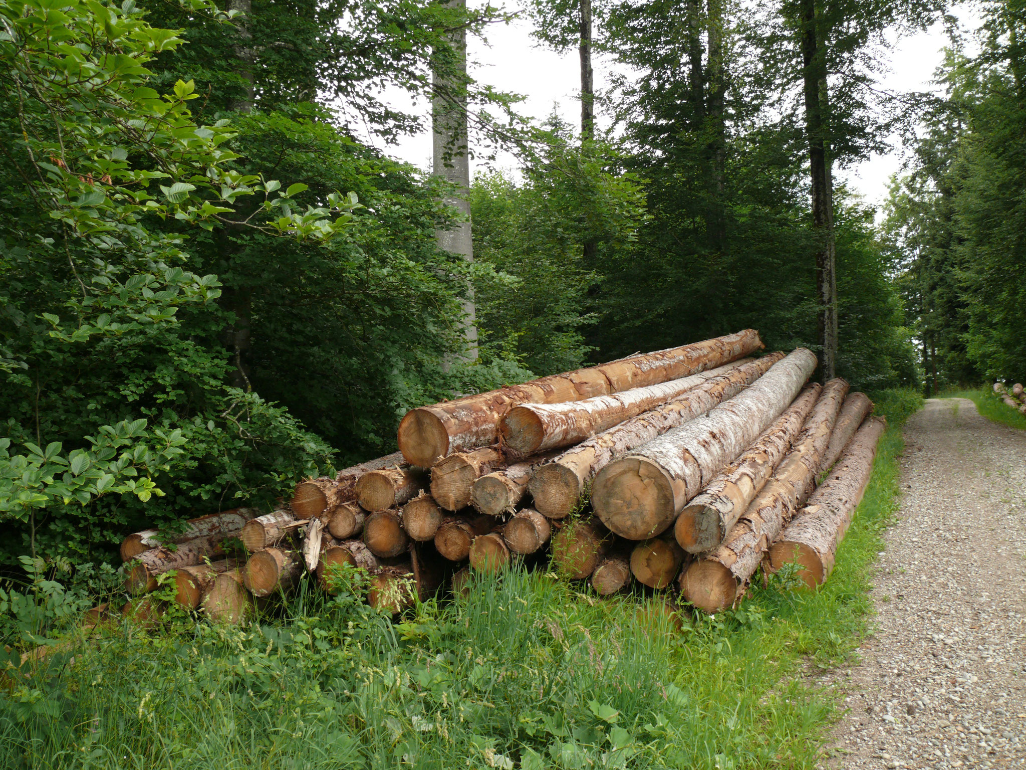 Basis für Möbelstück Holz zur Abholung liegt bereit
