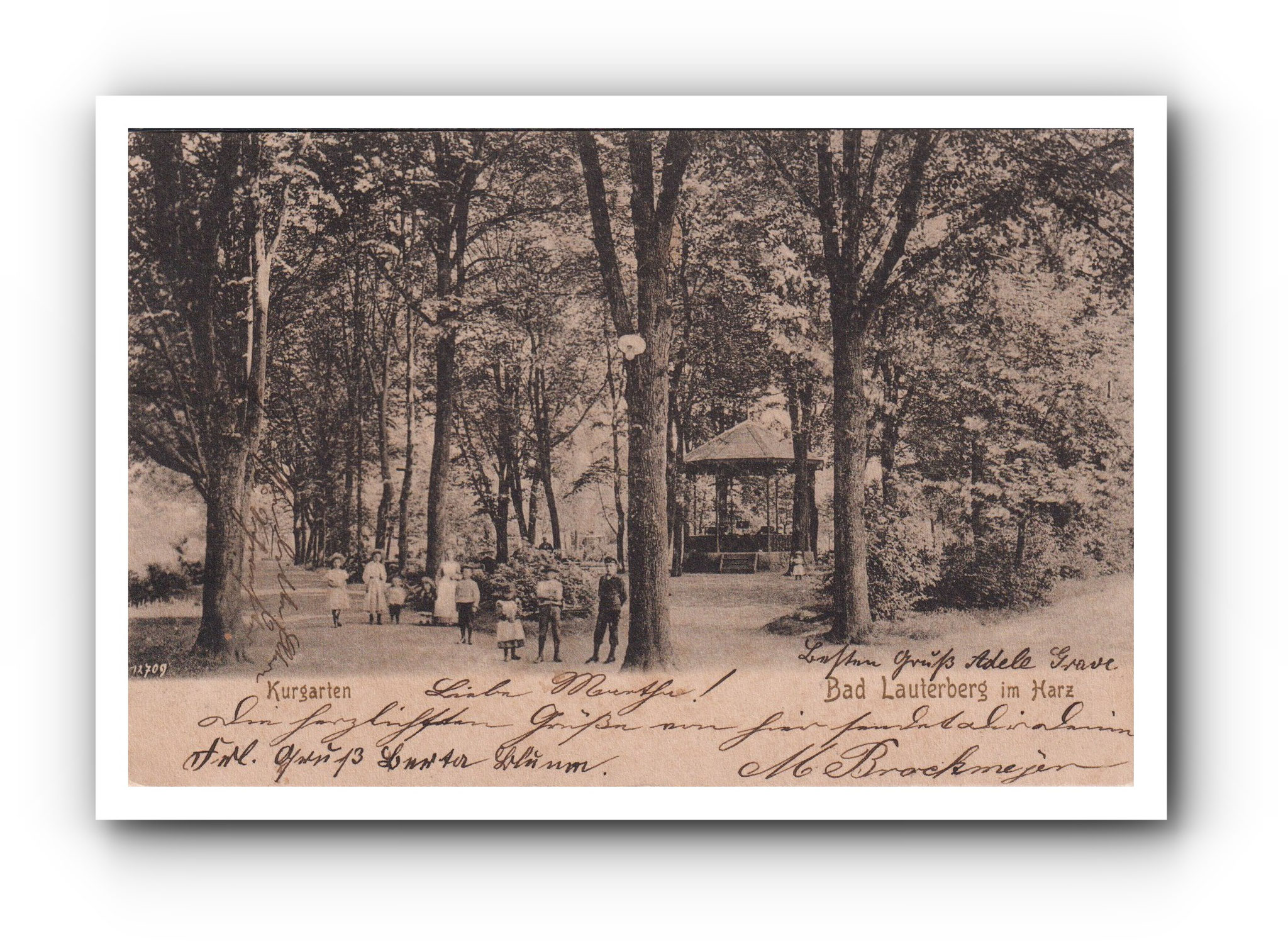 BAD LAUTERBERG im Harz - Kurgarten - 15.02.1904