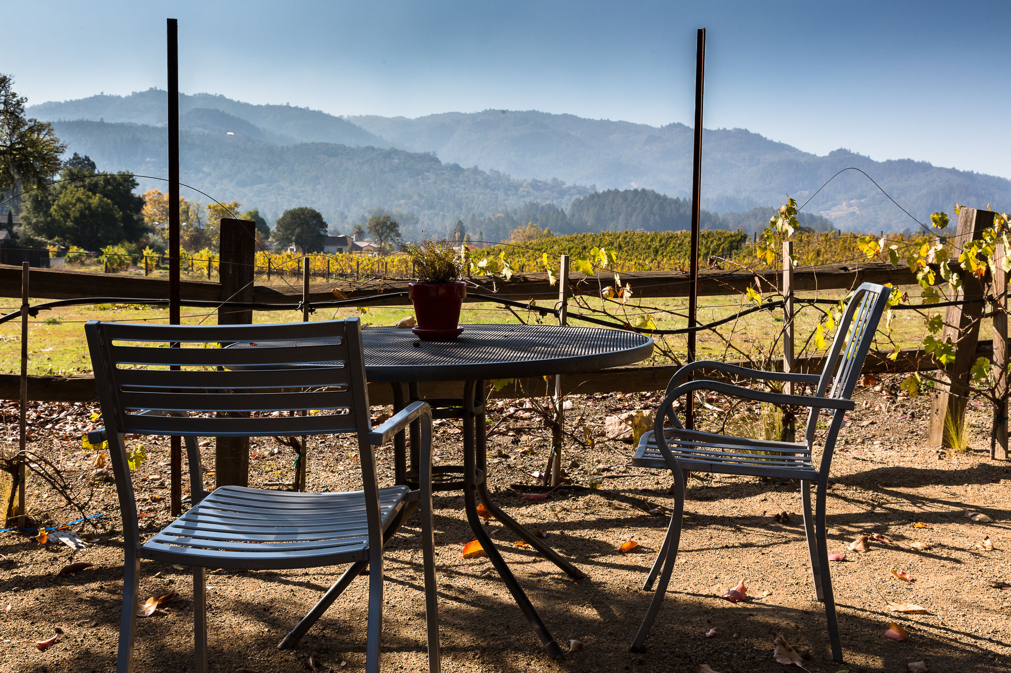 Flora Springs Winery, Napa Valley, California, USA (2015)