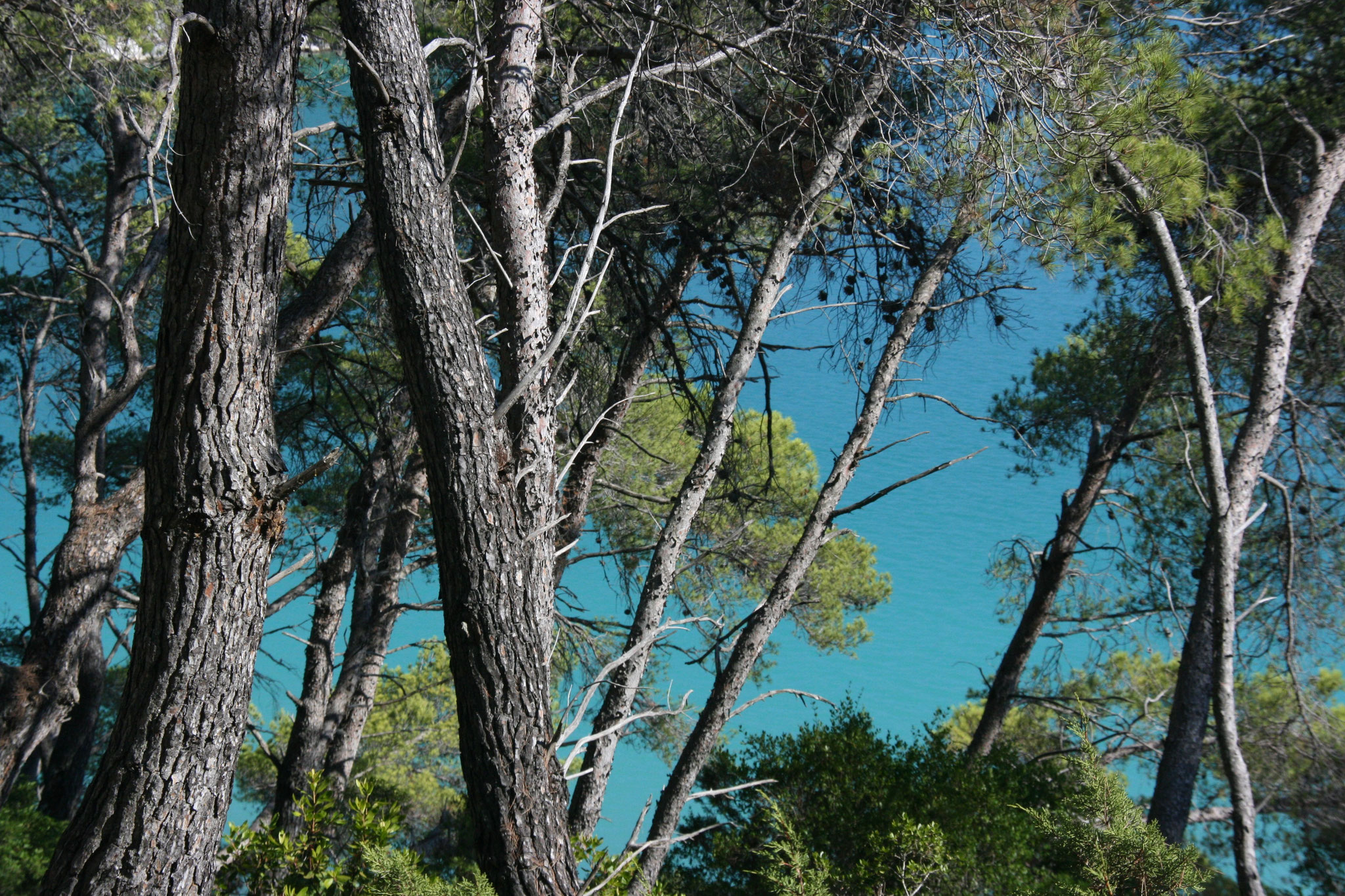 National Park Mljet, Croatia (2012)