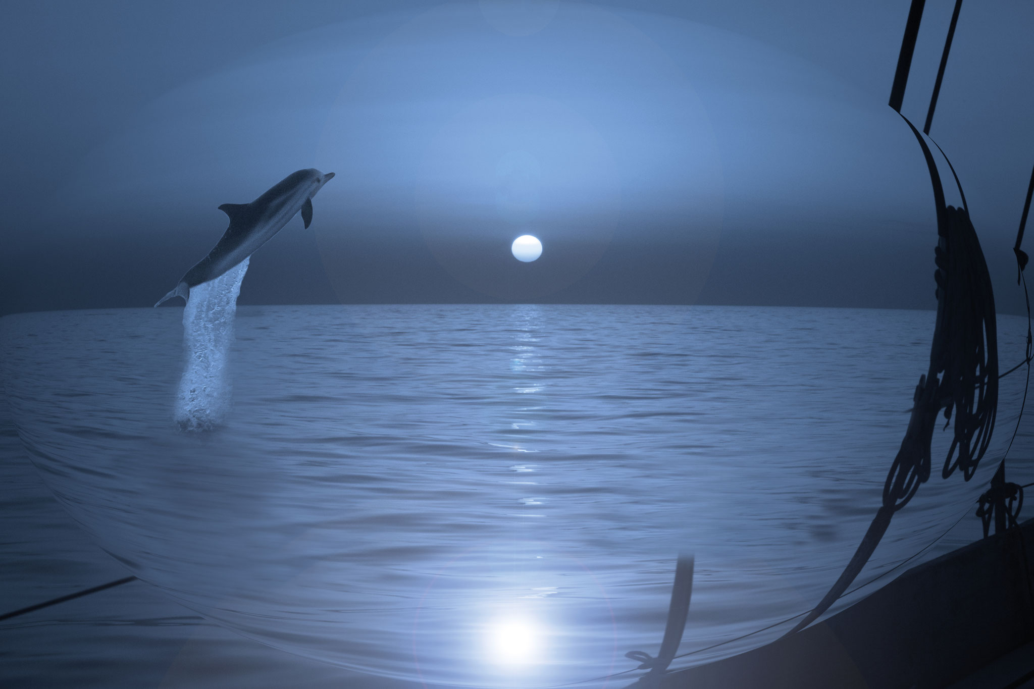 Dolphin Near Our Boat In Sicily, Italy (June 2019)