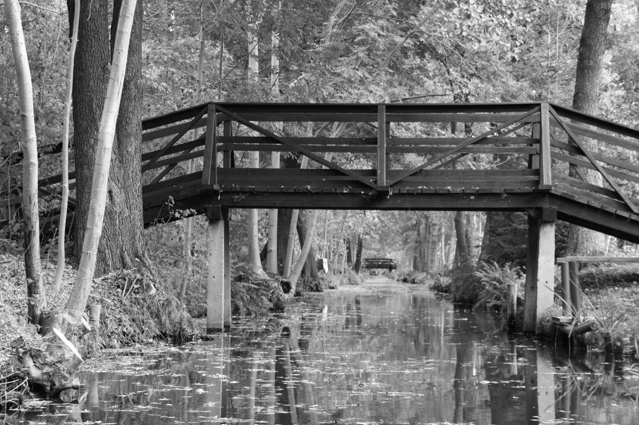 Burg im Spreewald, Germany (2008) 