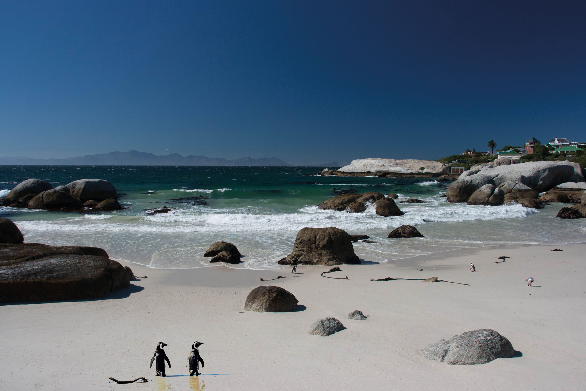 Boulder's Beach (with the Pinguins), South Africa (2013) 