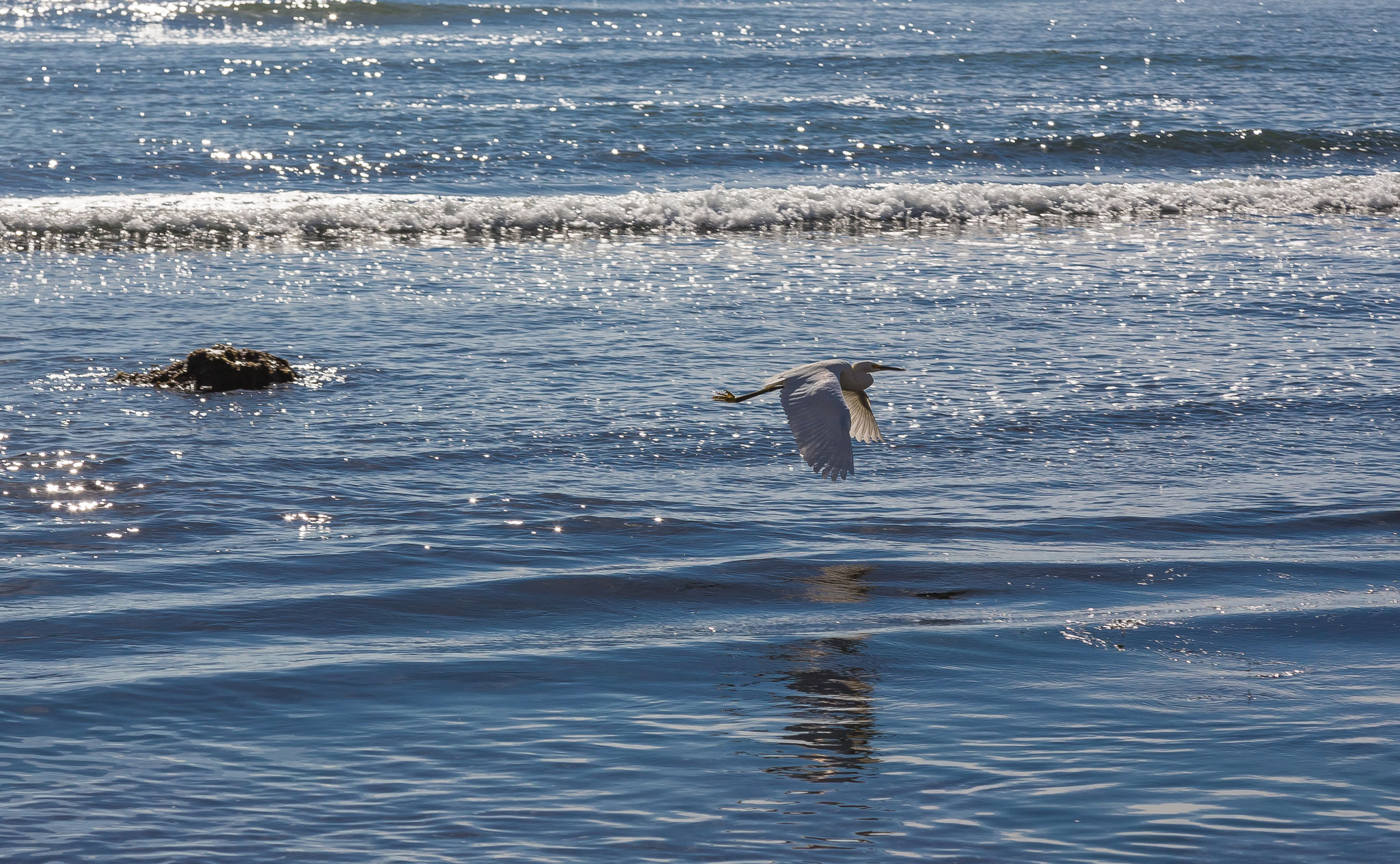 Mavericks, Half Moon Bay, USA (2015) 