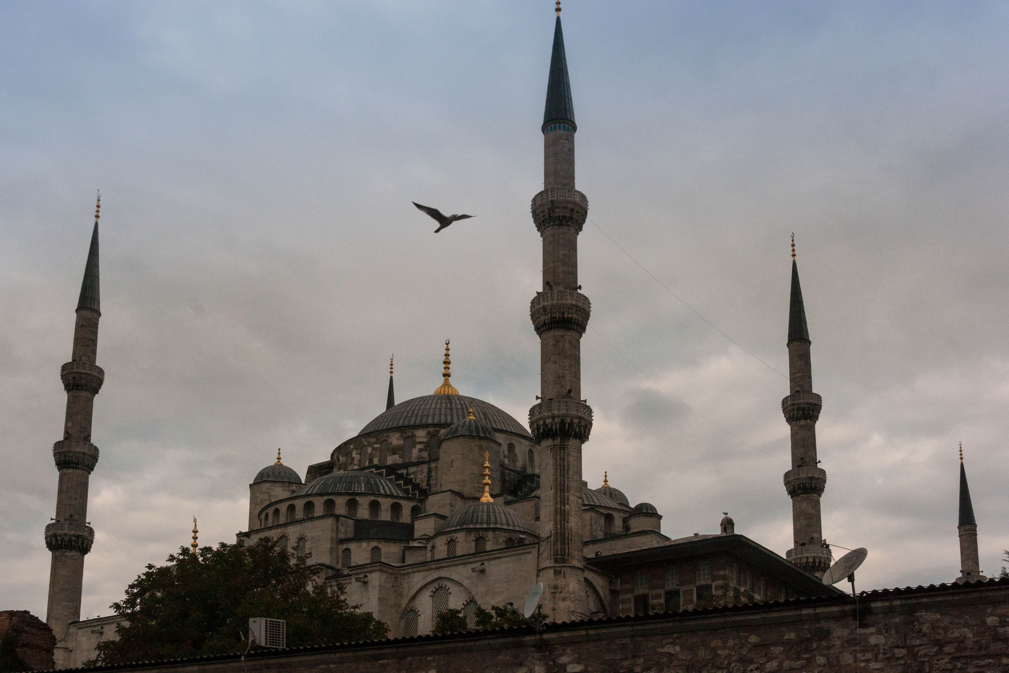 Blue Mosque, Istanbul, Turkey (2013)
