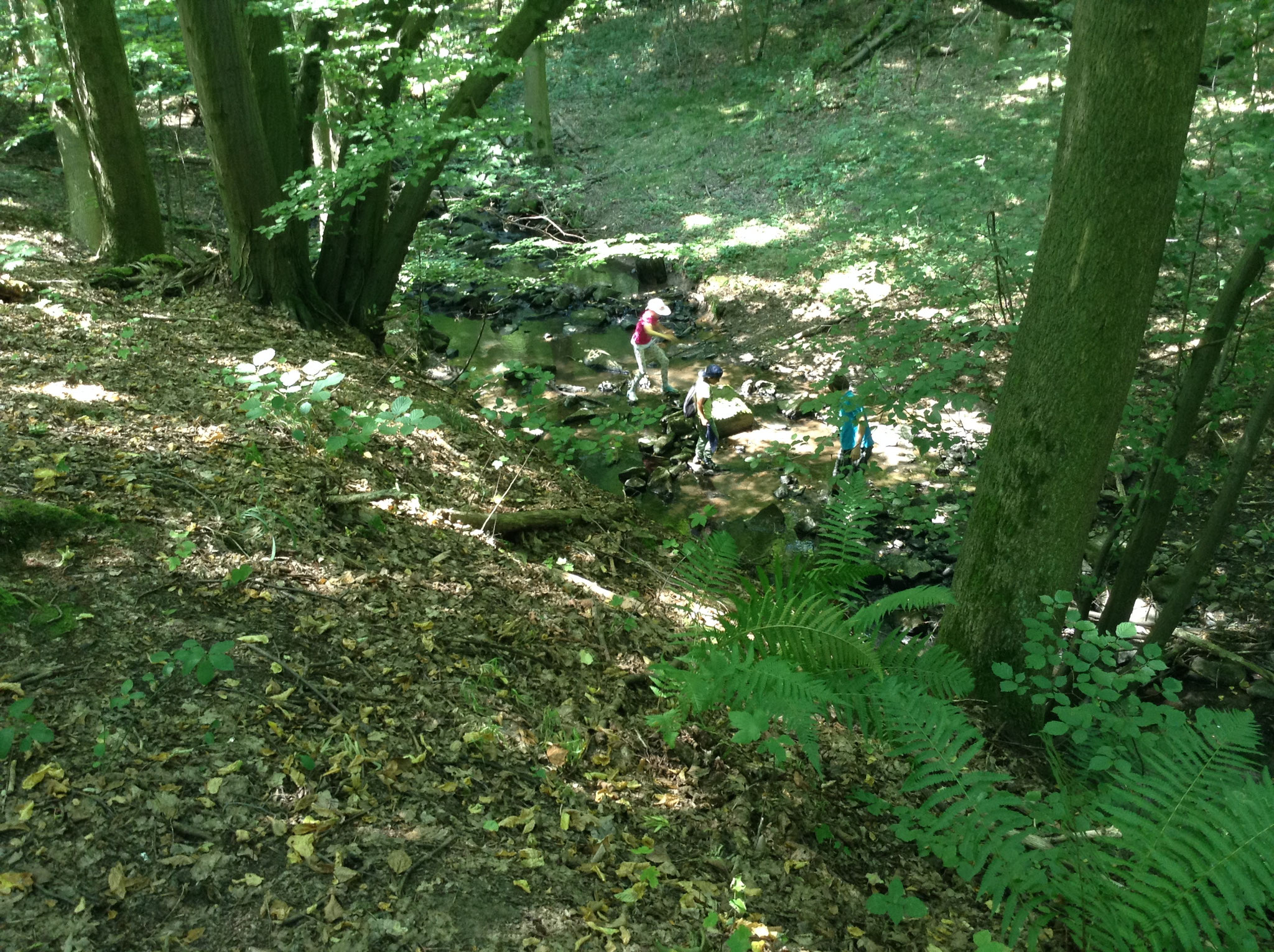 Wasser Wandern