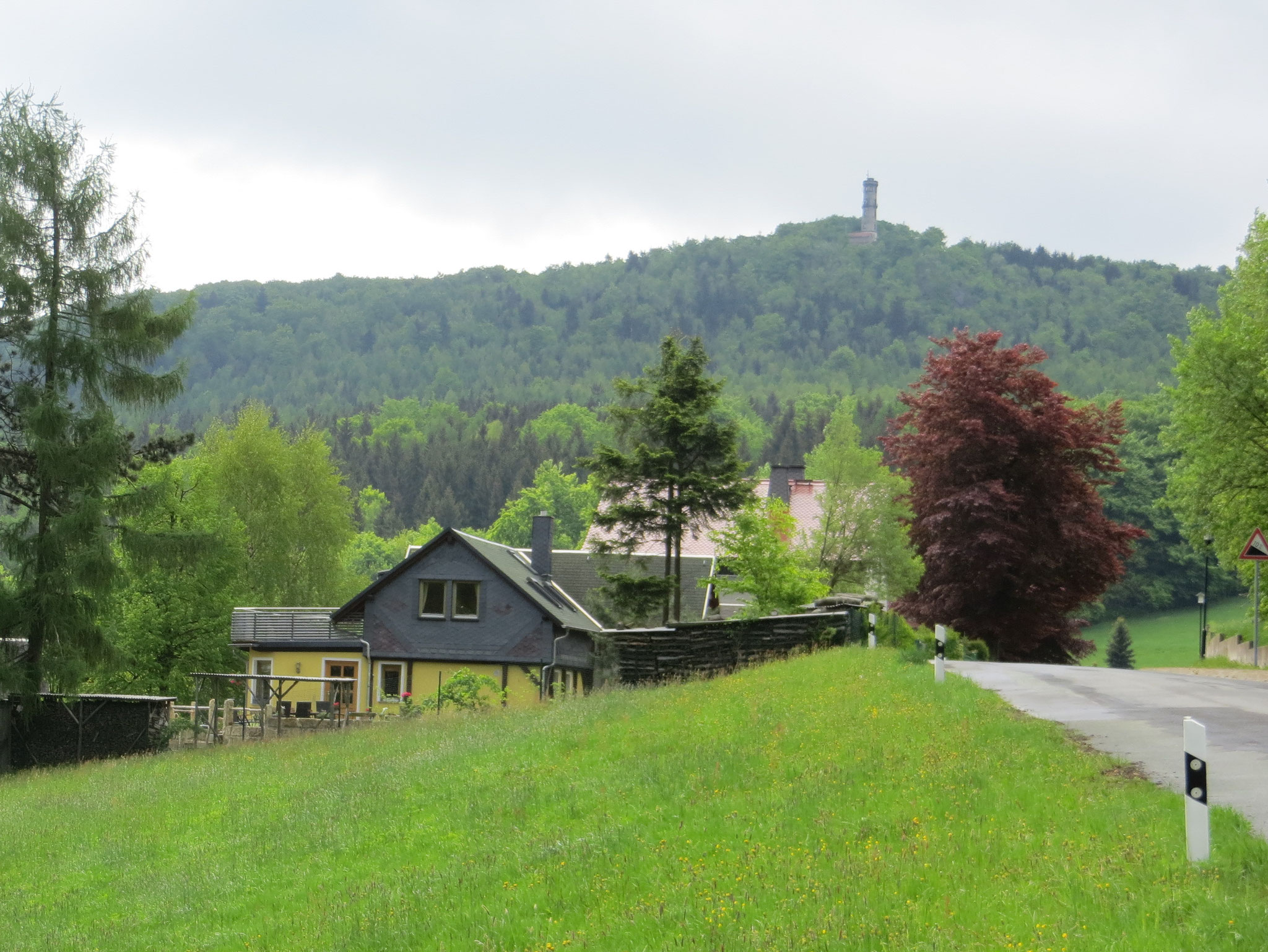 Blick vom Hain auf den Hochwald
