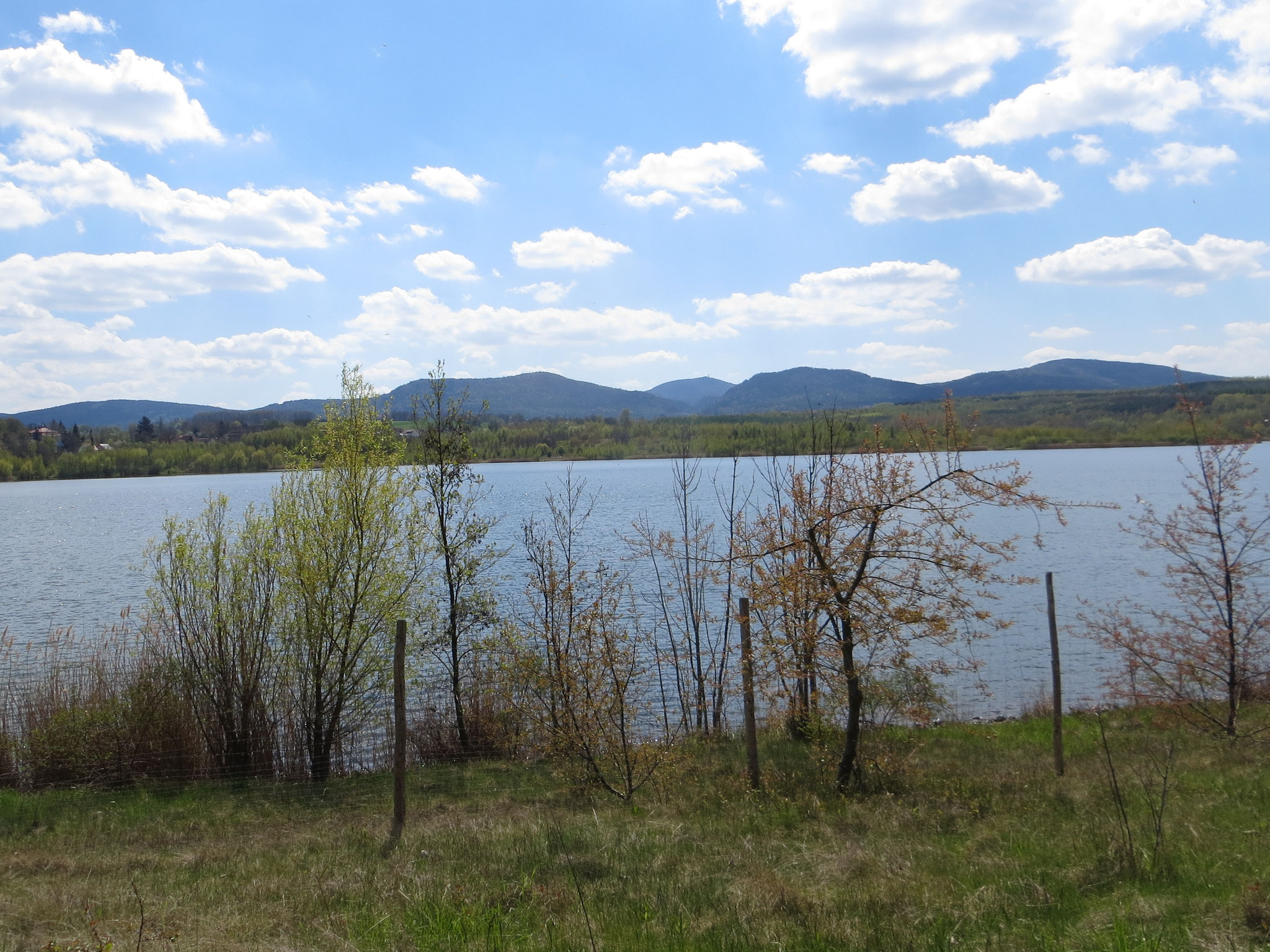 Olbersdorfer See
