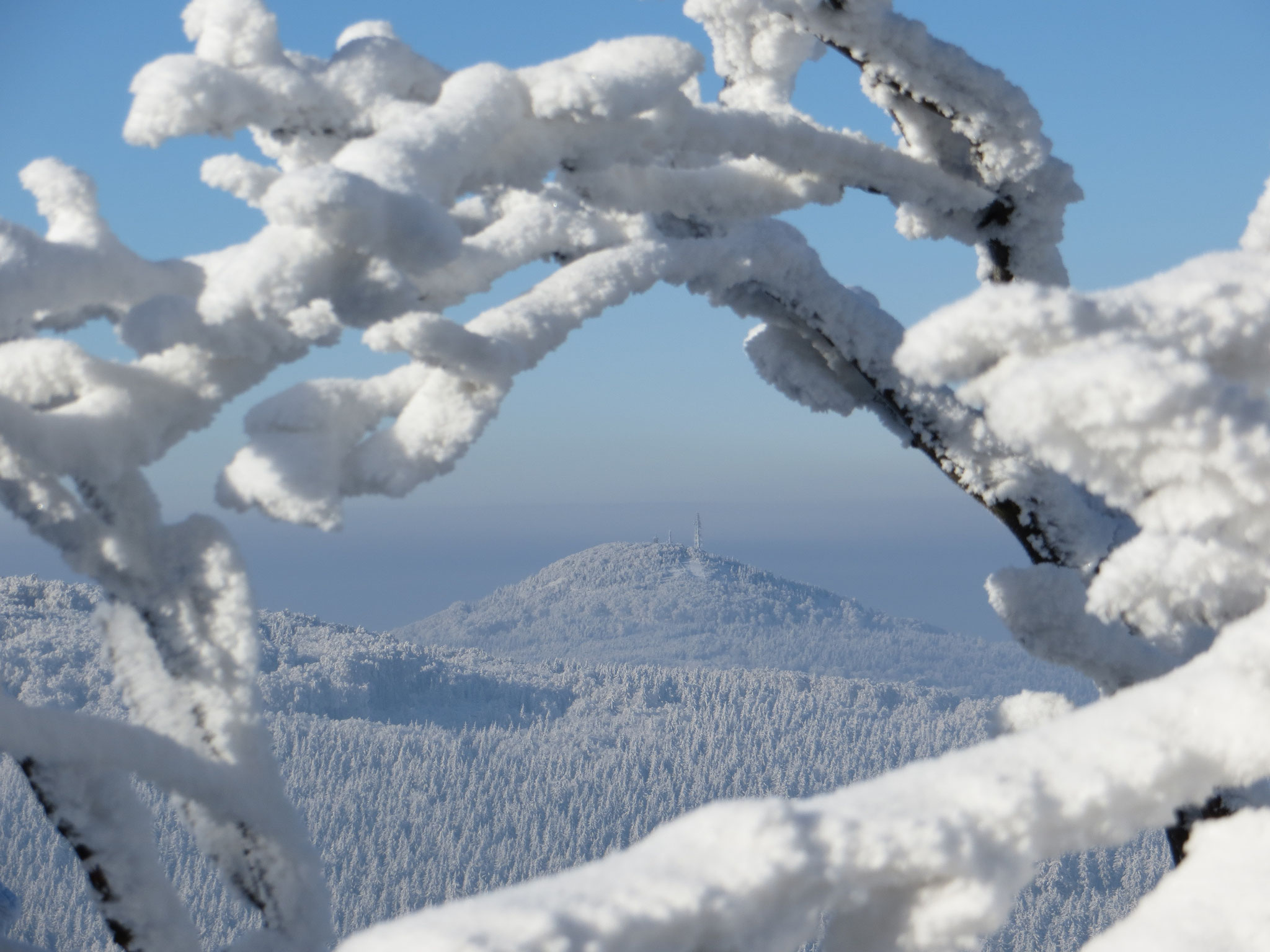 Winterzauber am Hochwald