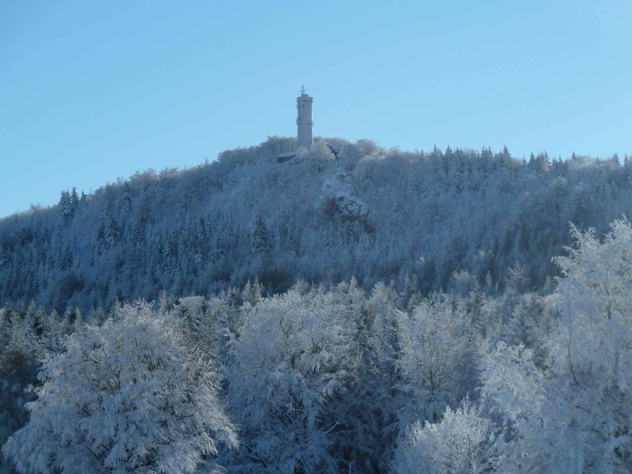 Hochwald im Schneezauber