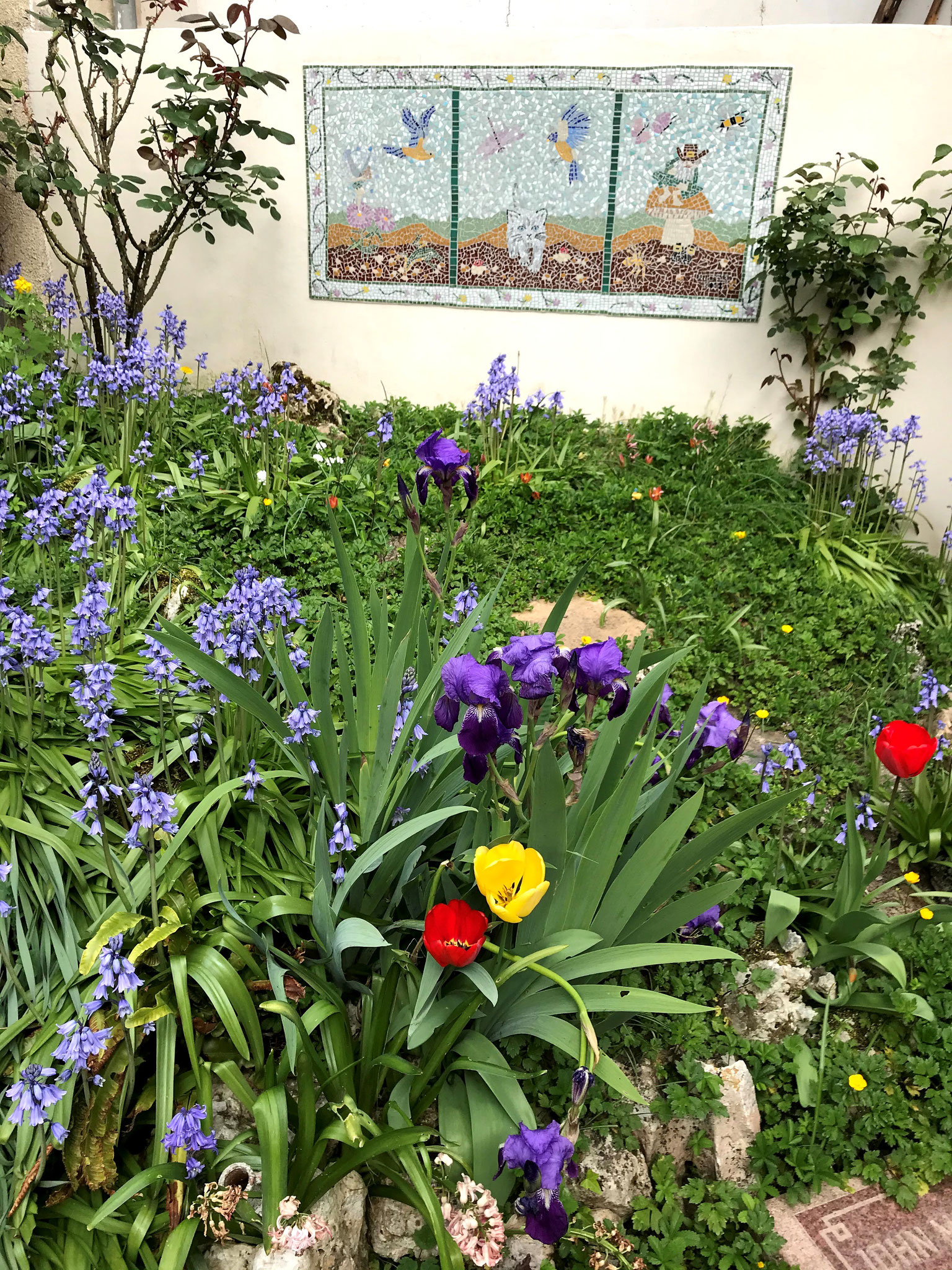 Liz du 82, le mur du jardin décoré par sa fresque