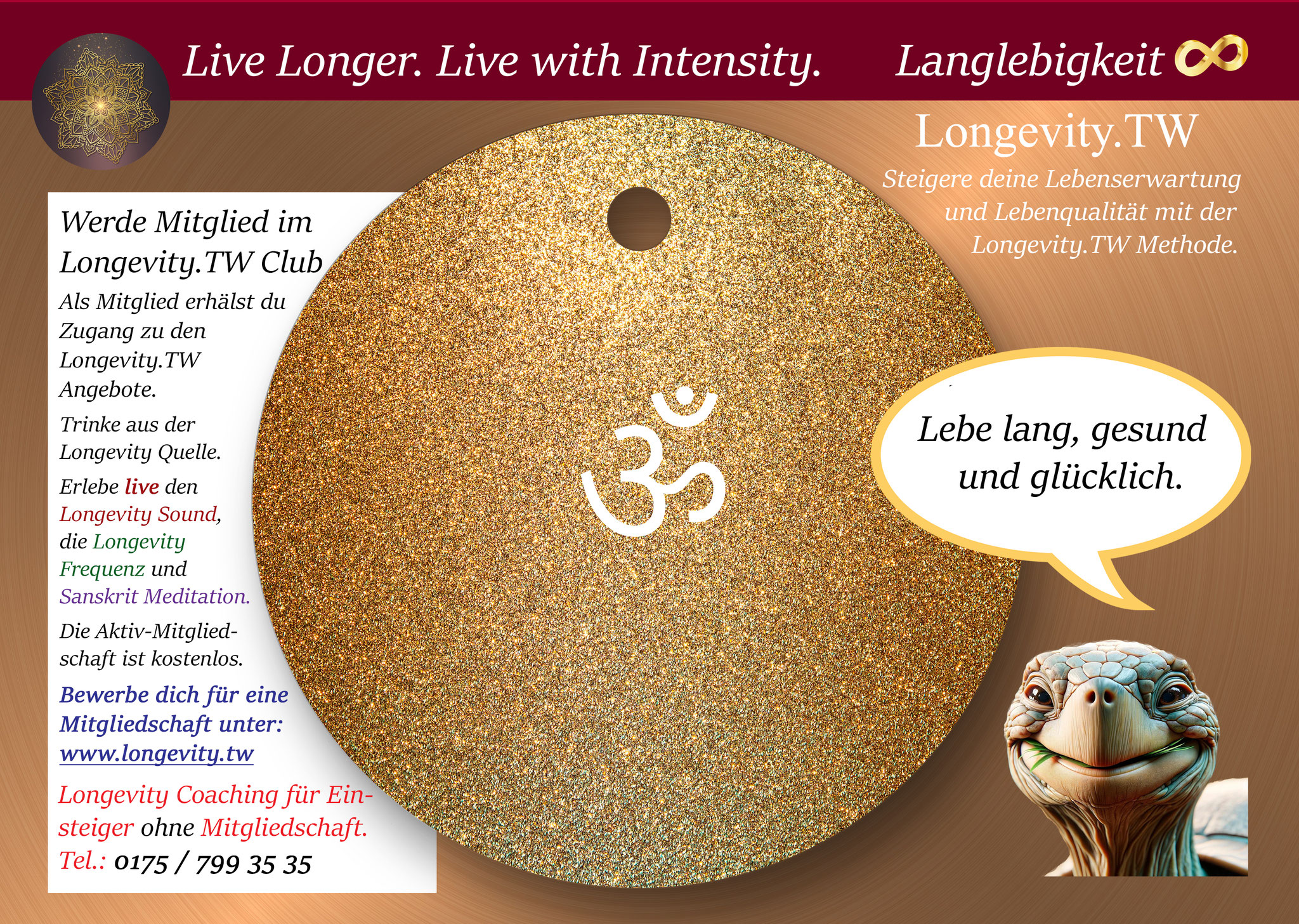 Flyer 2025 Longevity.TW