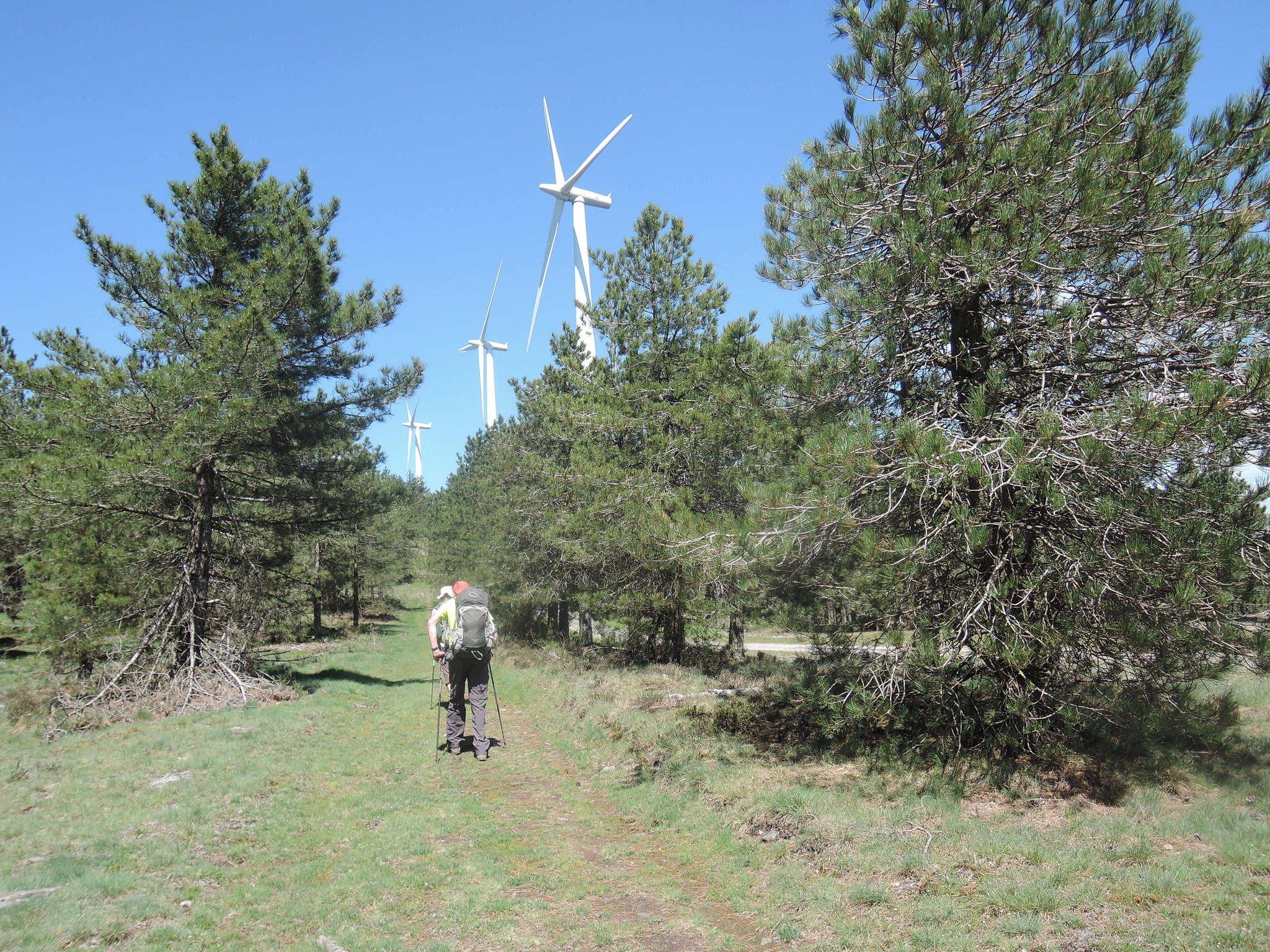 éoliennes près de Pradelles-Cabardès, randonneurs