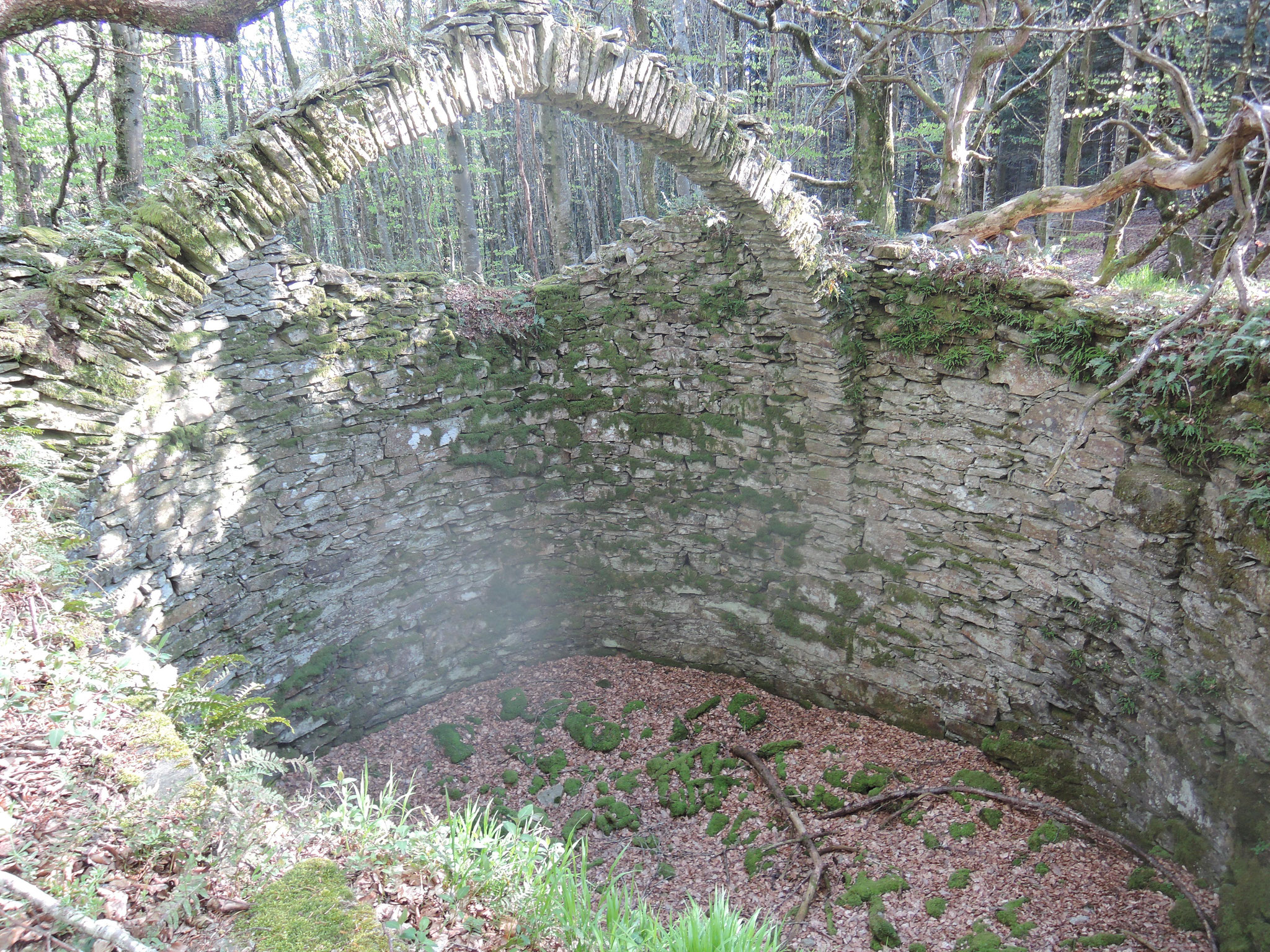 glacière près de Pradelles-Cabardès