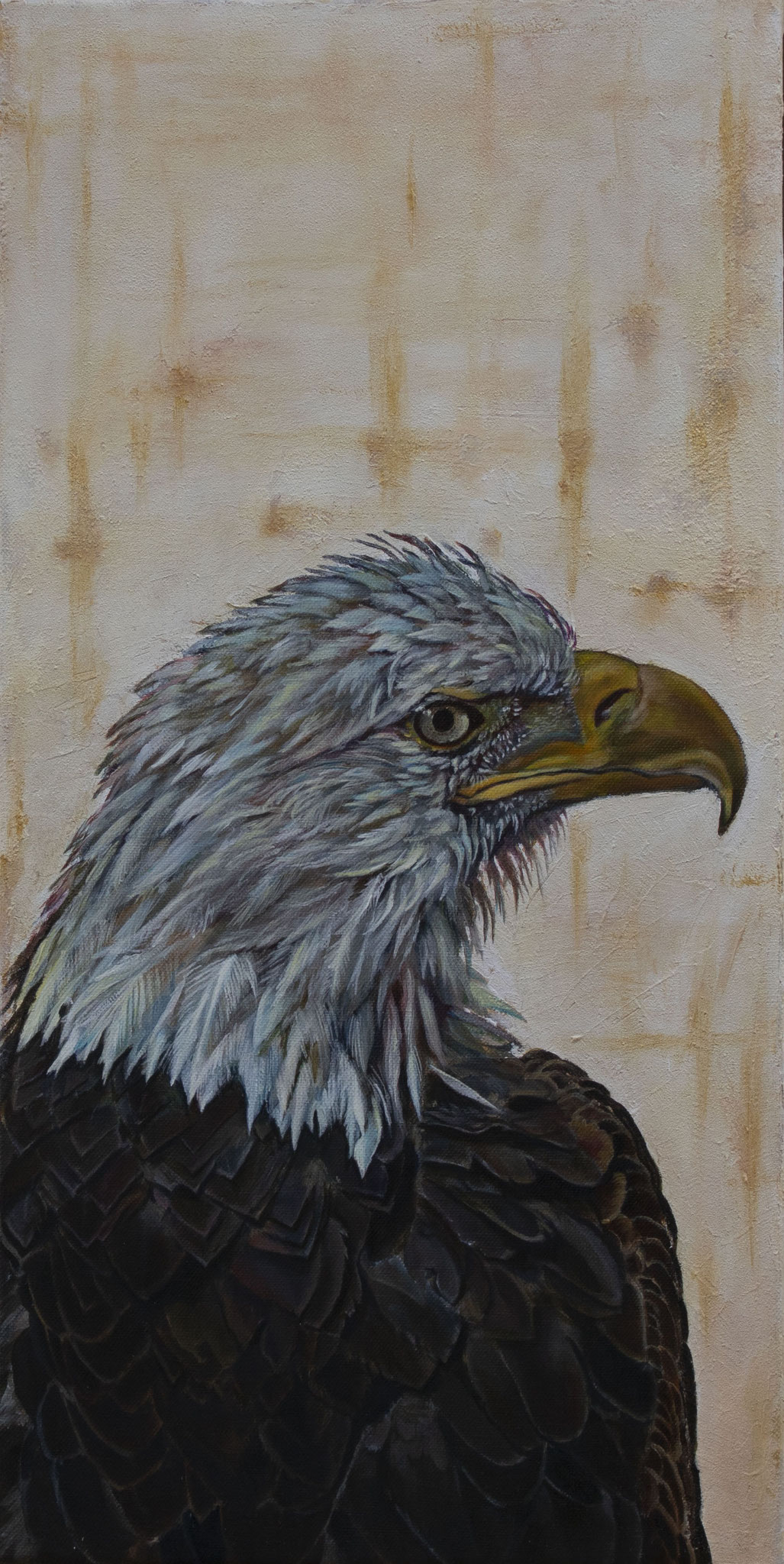 Bald Eagle - dimensions 30 x 60 cm