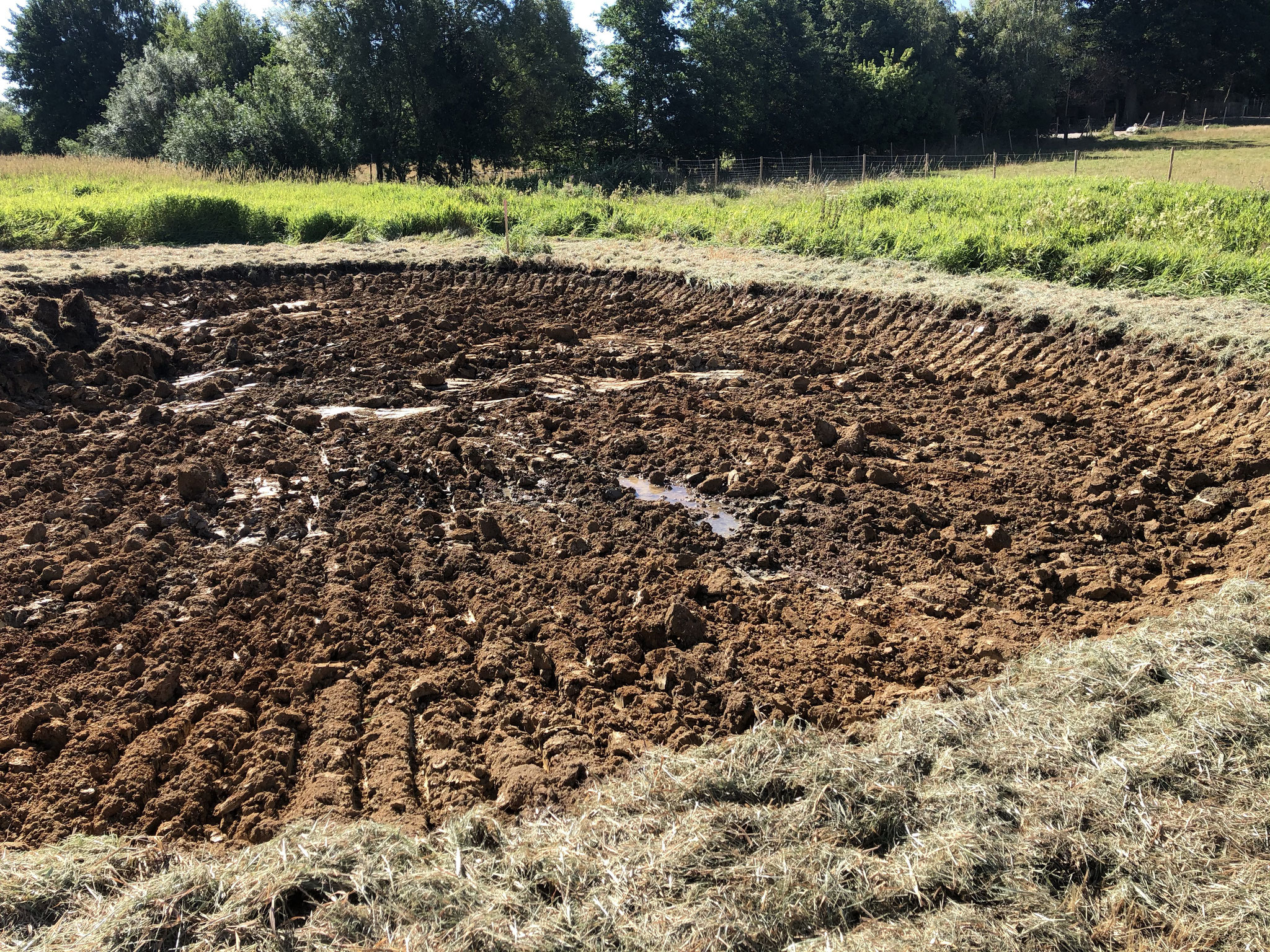 Der zweite Teich ist fertig und zeigt schon erstes Wasser