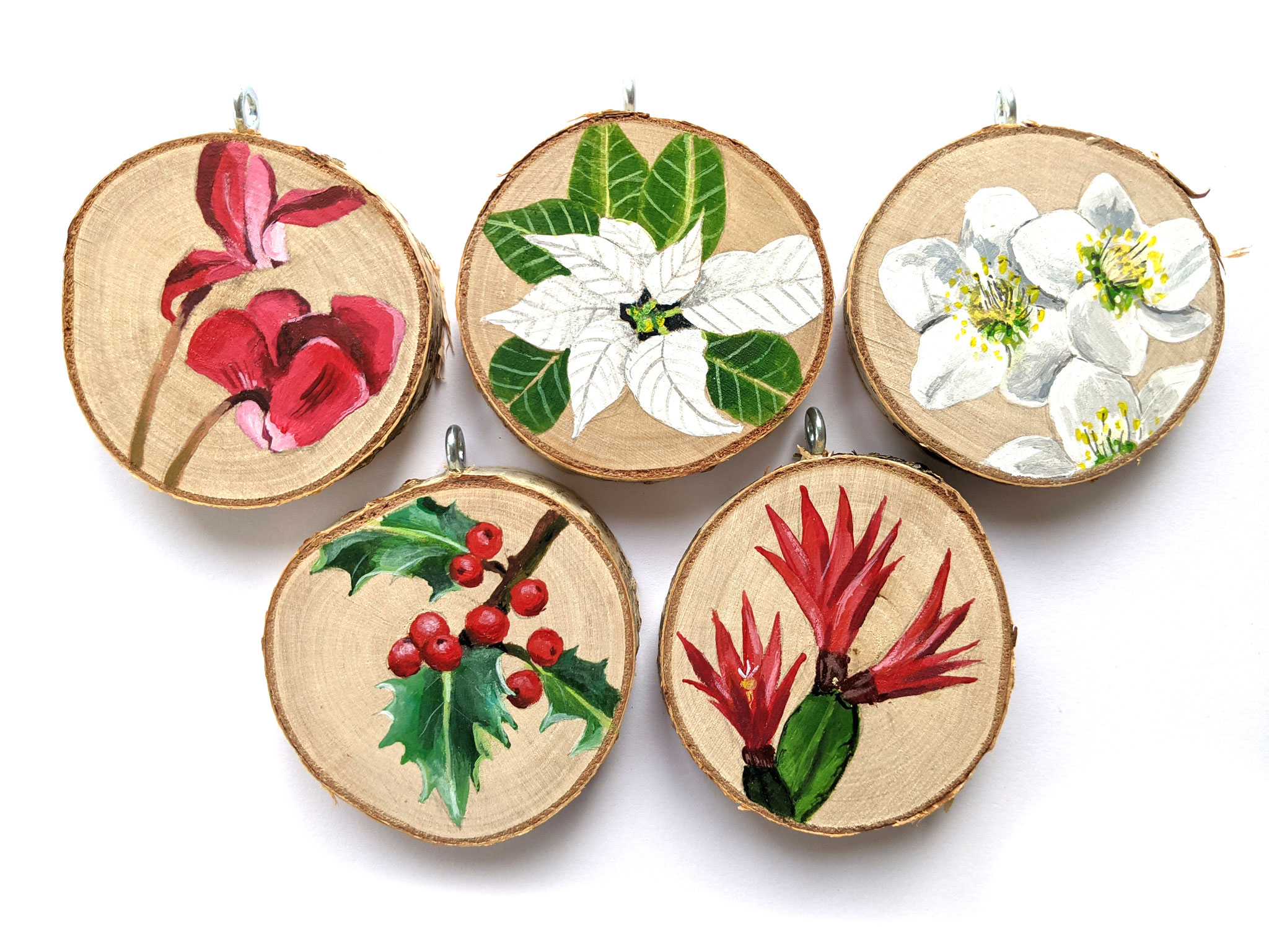 Birkenscheiben "Weihnachtsflora": fünf verschiedene Pflanzen, die an Weihnachten blühen können