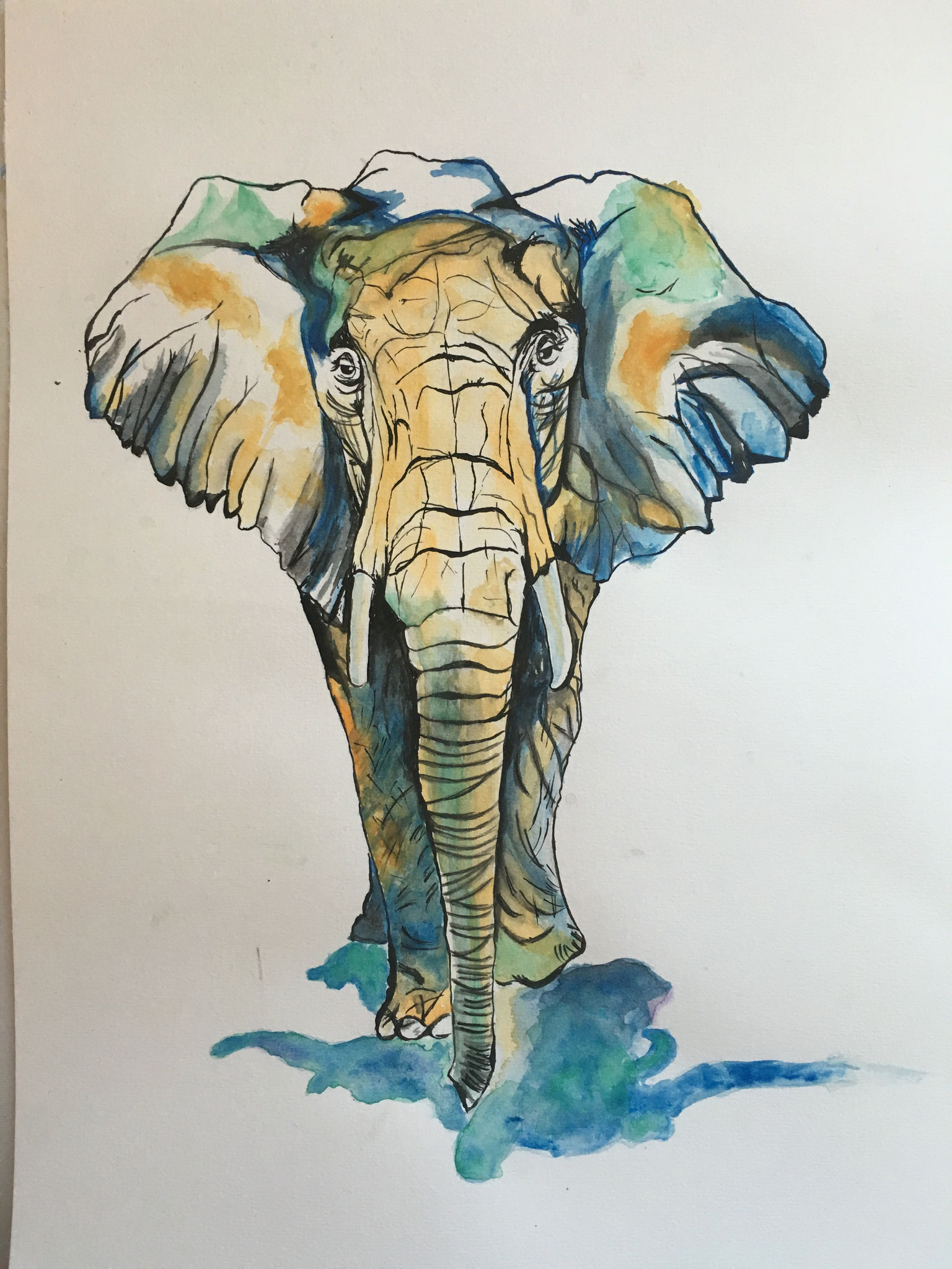 Elefant