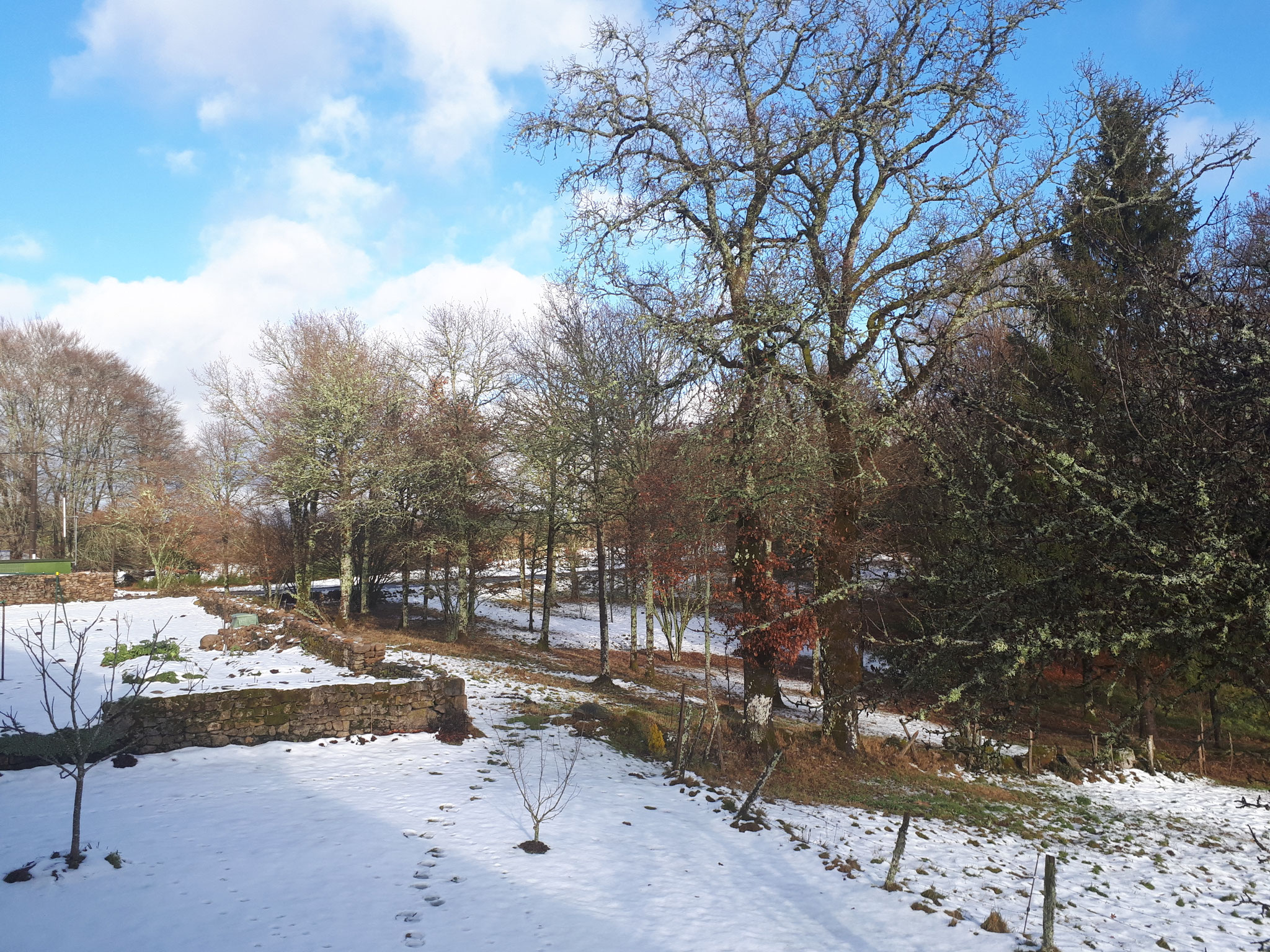 Le Jardin sous la neige