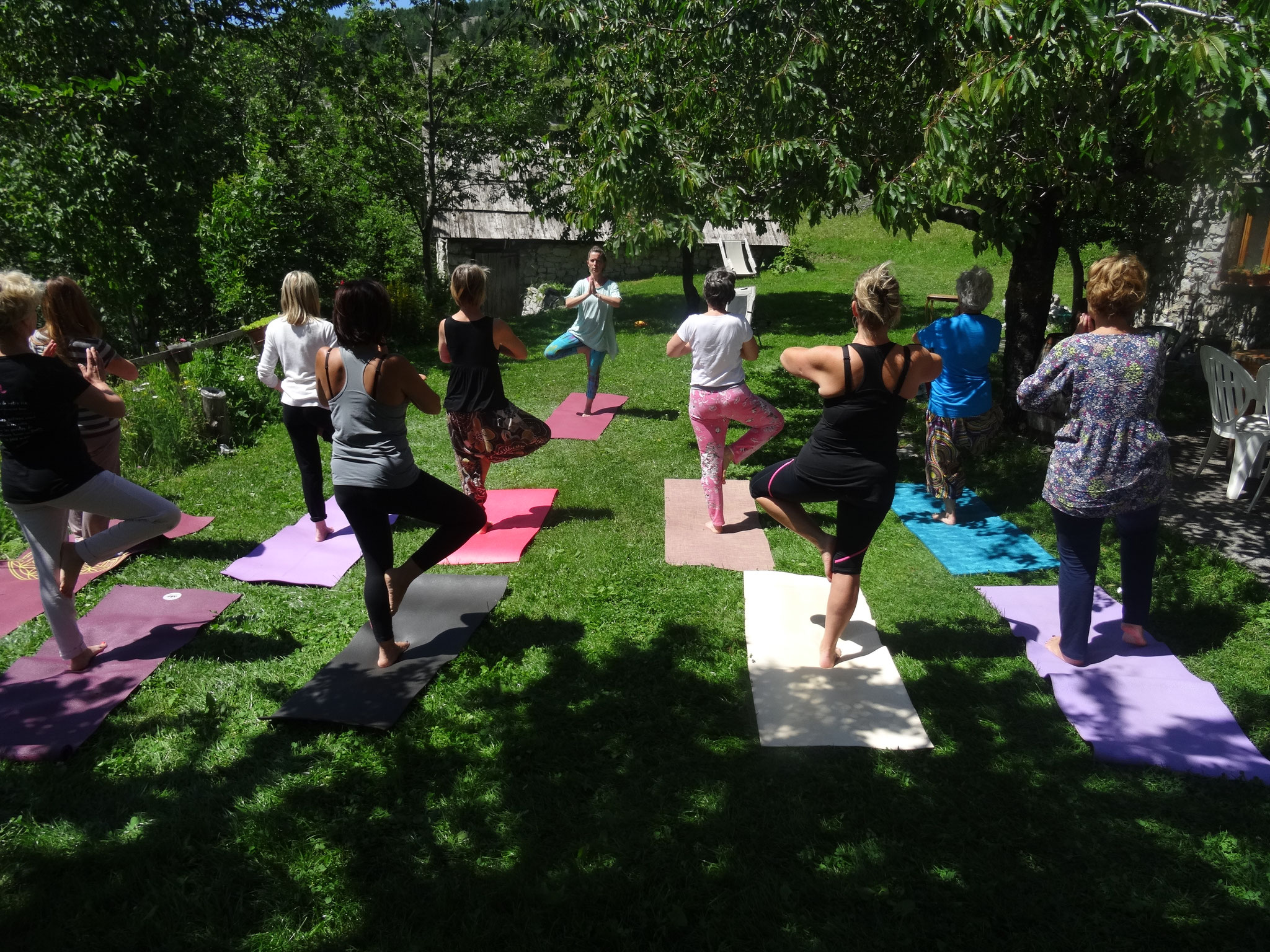 Pratique de Hatha Yoga