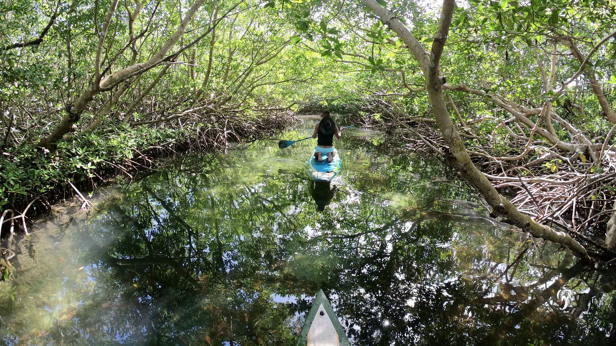 Tom Paddle Evasion | Excursion paddle | Ilet Blanc | Guadeloupe