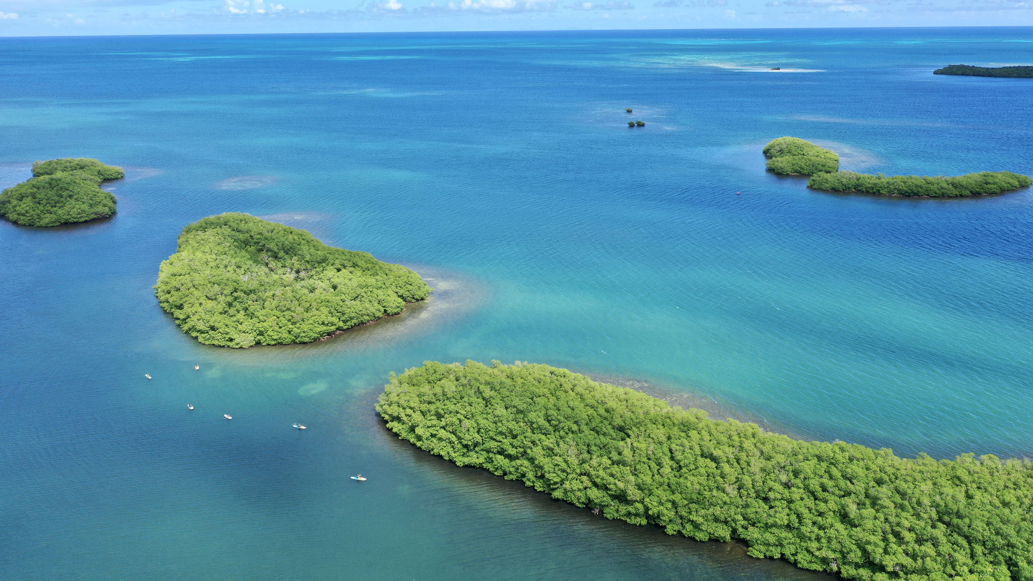 Tom Paddle Evasion | Excursion paddle | Ilet Blanc | Guadeloupe