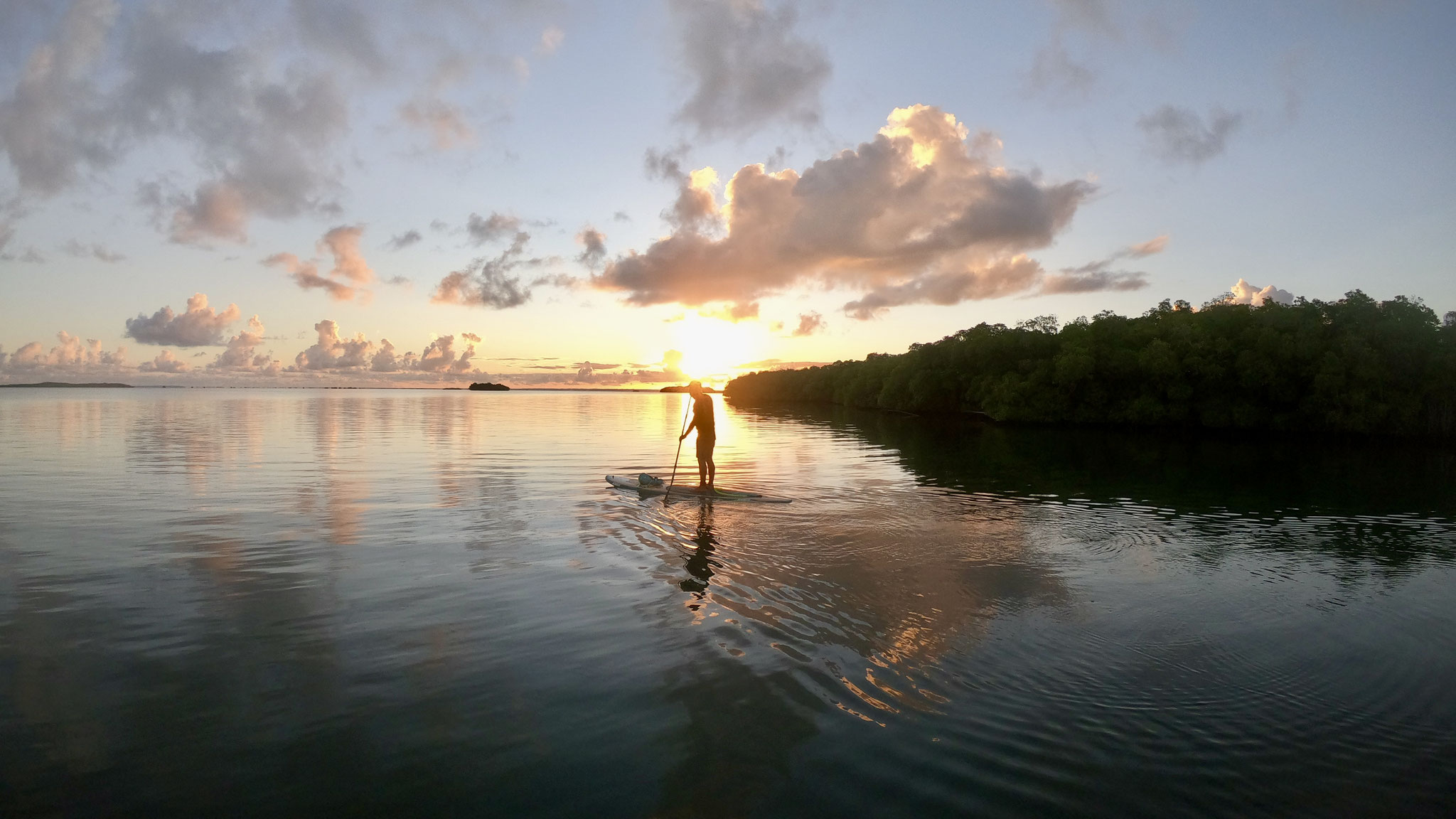 Tom Paddle Evasion | Excursion paddle | Mangrove | Guadeloupe