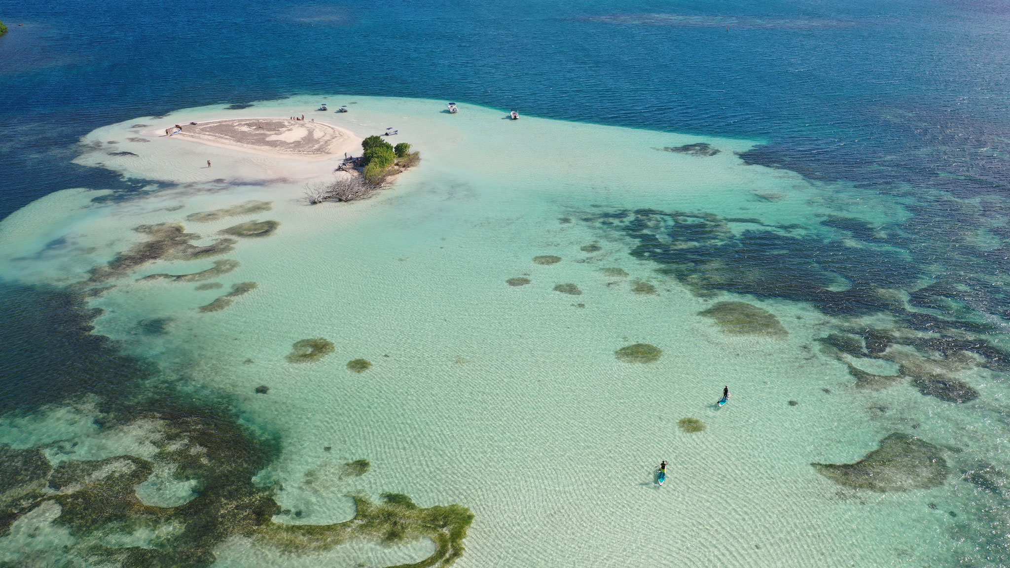 Tom Paddle Evasion | Excursion paddle | Ilet Blanc | Guadeloupe