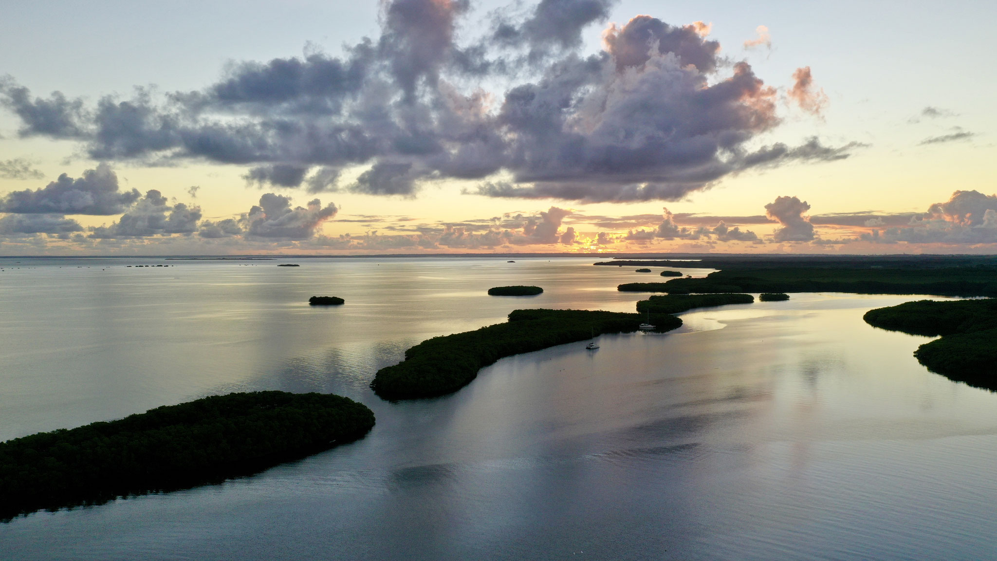 Tom Paddle Evasion | Excursion paddle | Manfrove | Guadeloupe