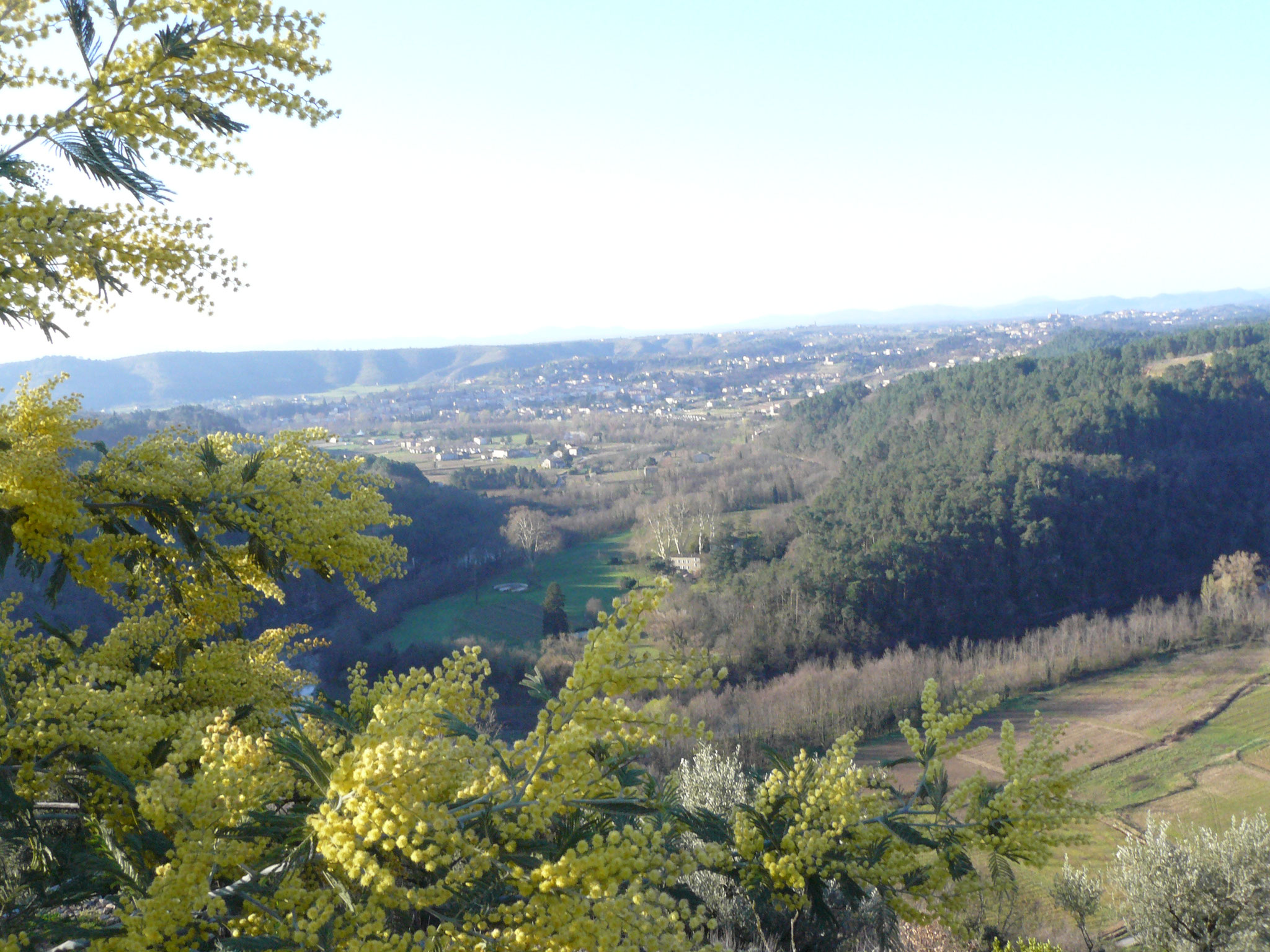 Vue depuis l'escourby